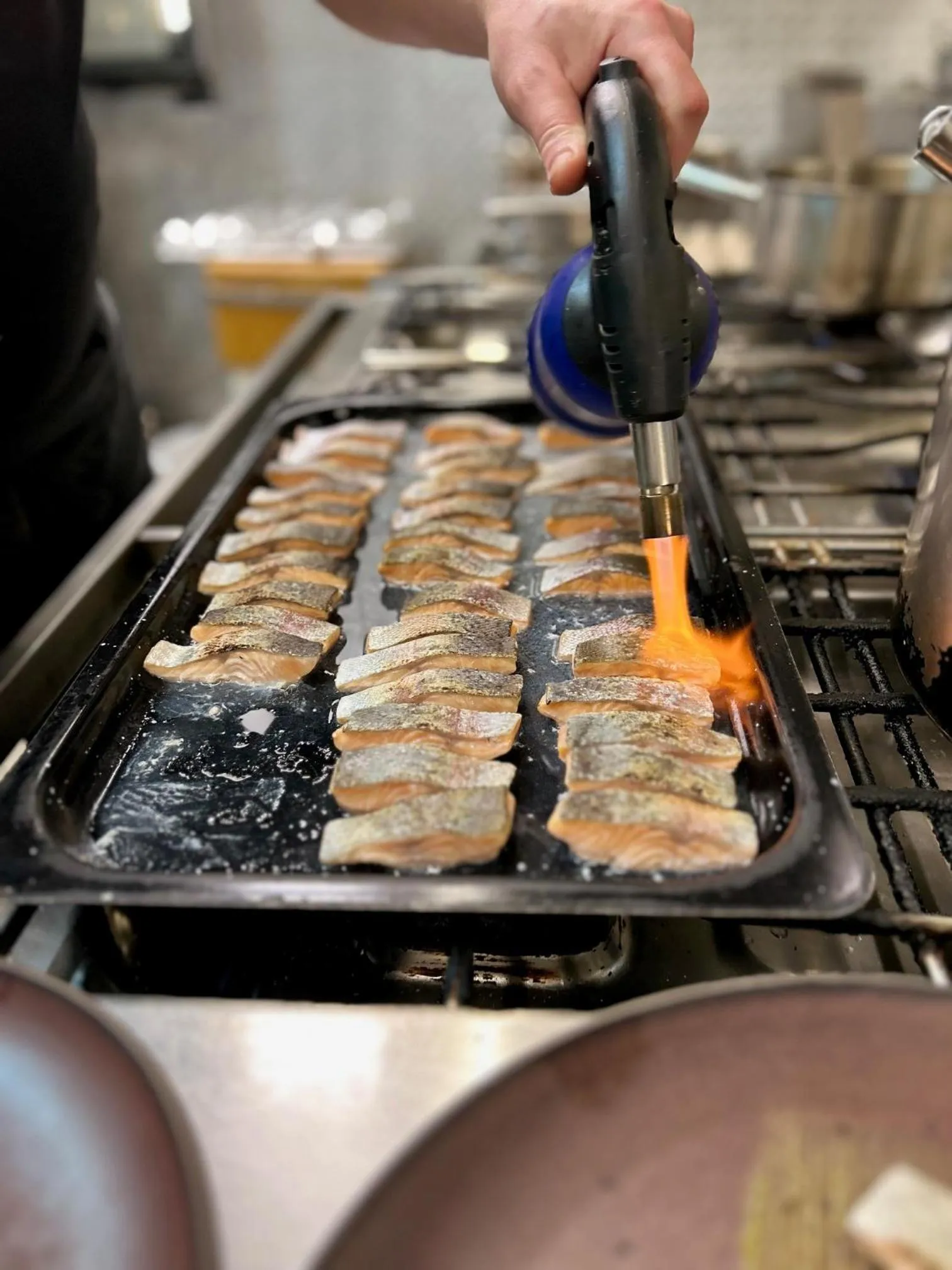 Restaurant/places to eat in Hotel-Restaurant Steuermann