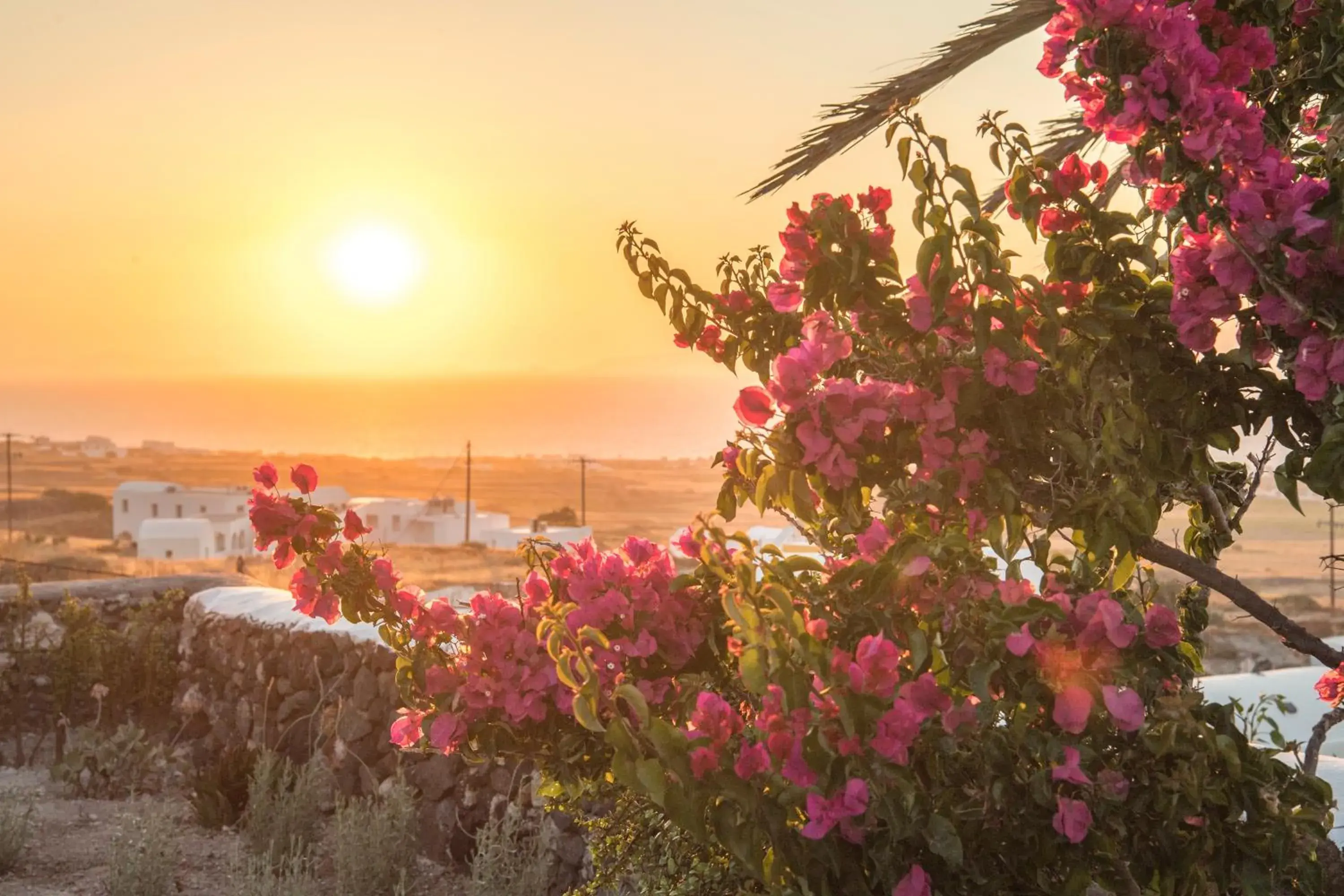 Executive Suite in AQUA SERENITY LUXURY SUITES SANTORINI Executive Suite in AQUA SERENITY LUXURY SUITES SANTORINI