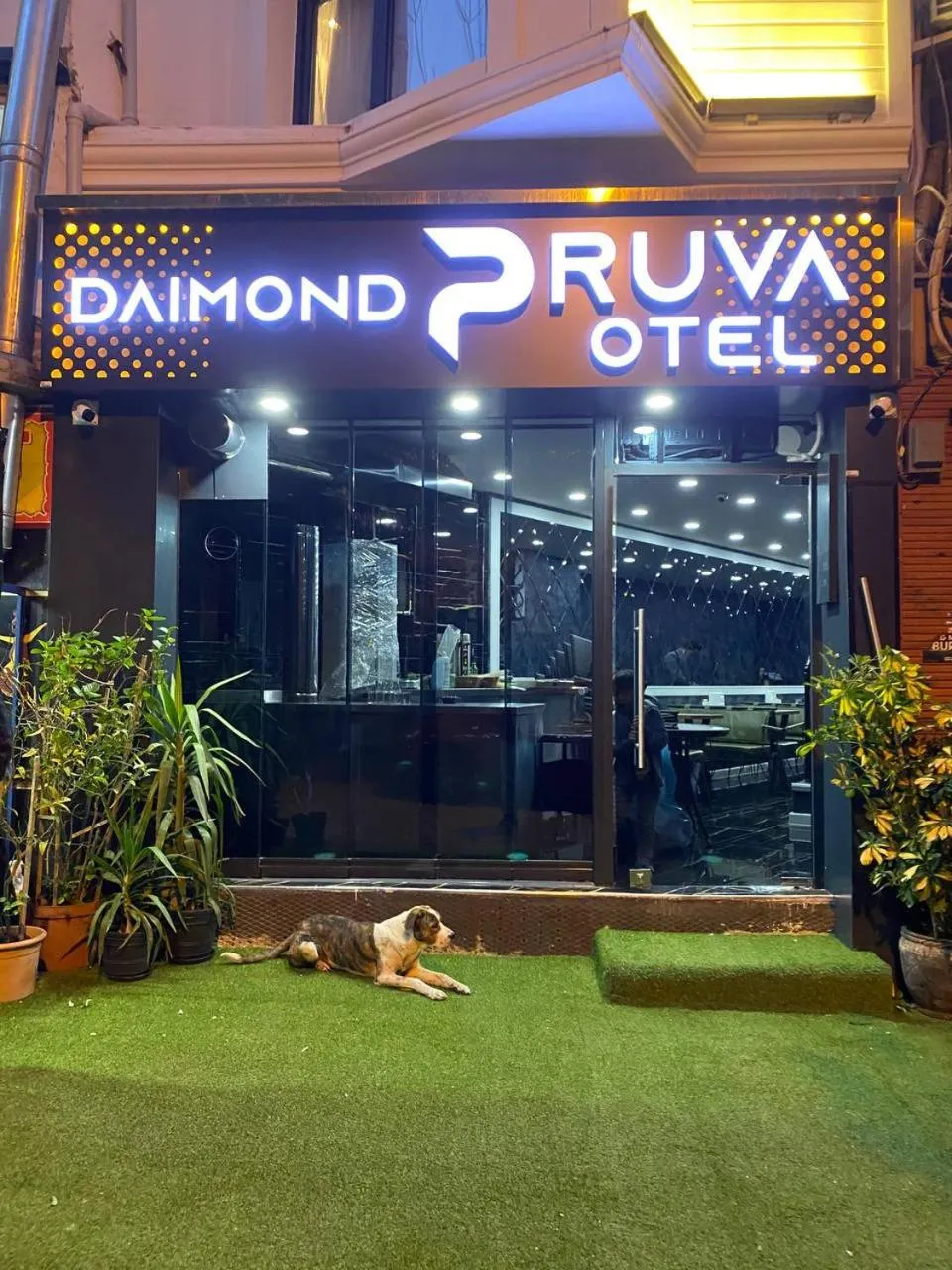 Facade/entrance in Diamond Pruva Hotel Sultan Ahmet