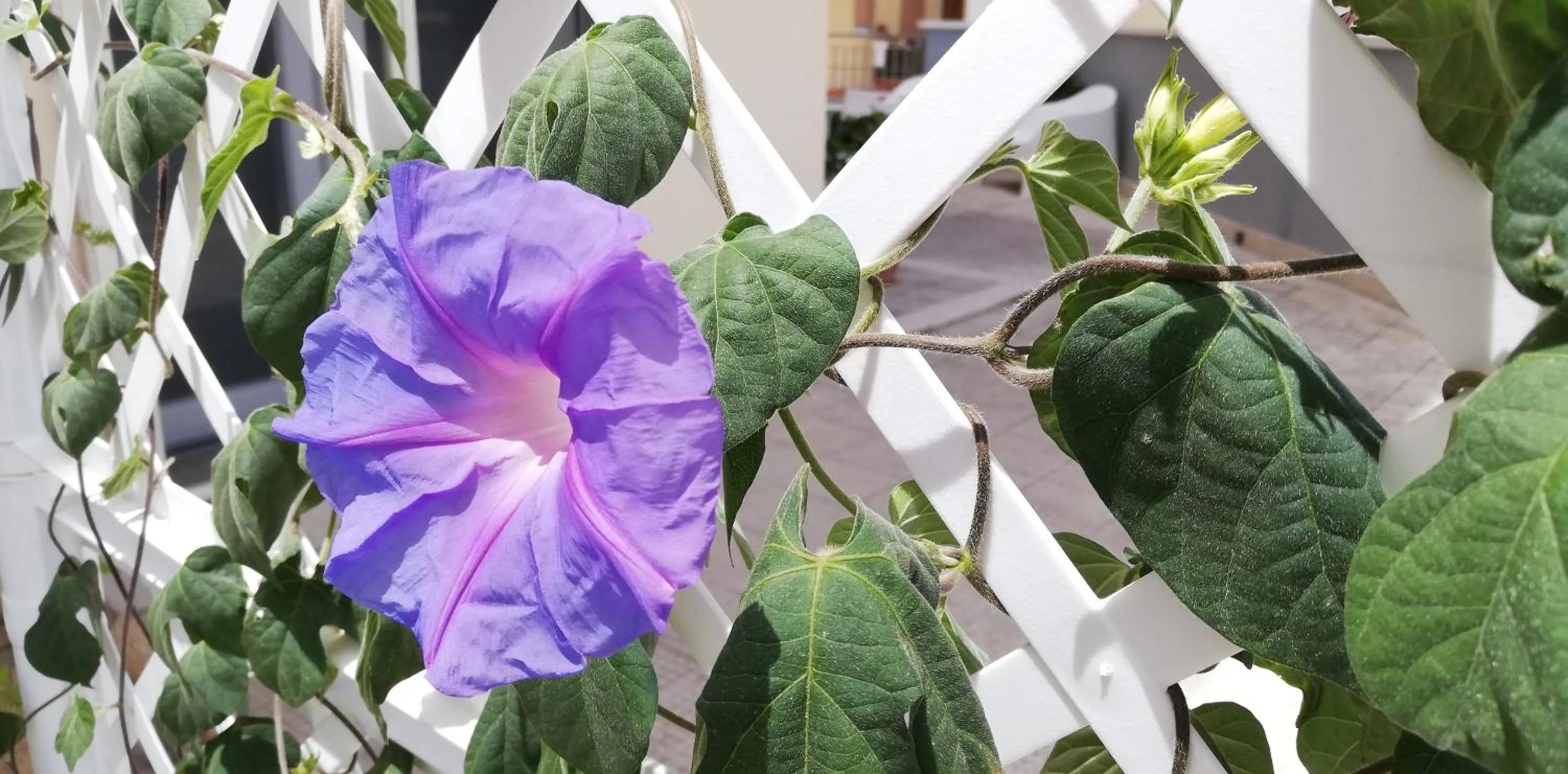 Property building in AMARE MATERA comfortable rooms