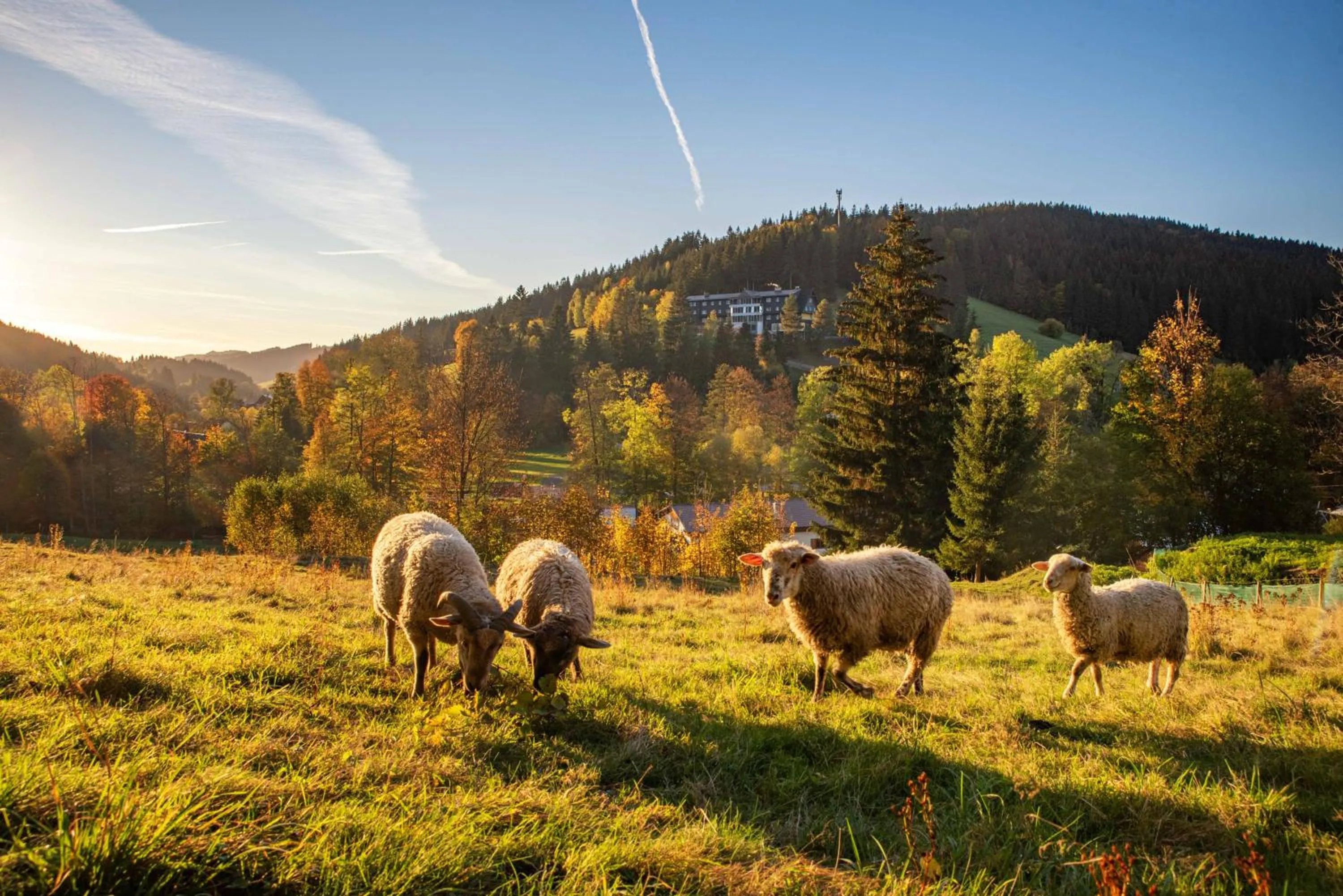 Natural landscape in Spa hotel Lanterna