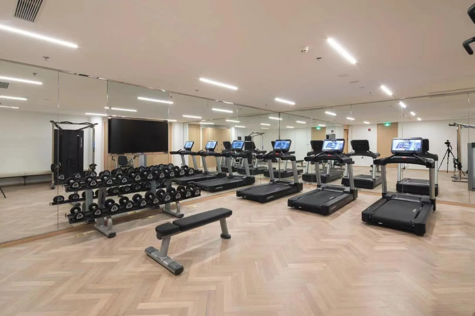 Fitness centre/facilities in Radisson Collection Resort Nanjing