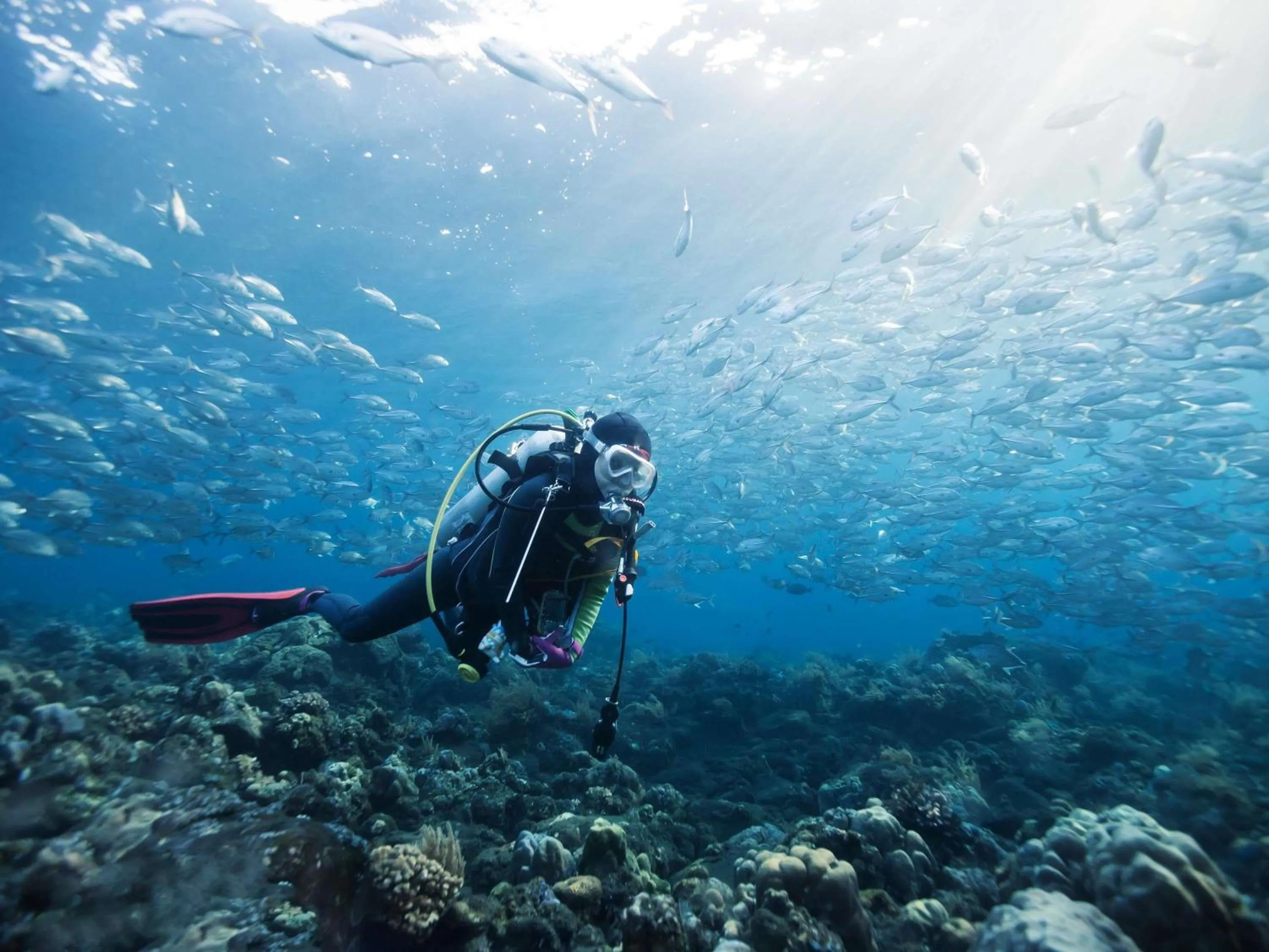 Other in Mövenpick Hotel Beirut