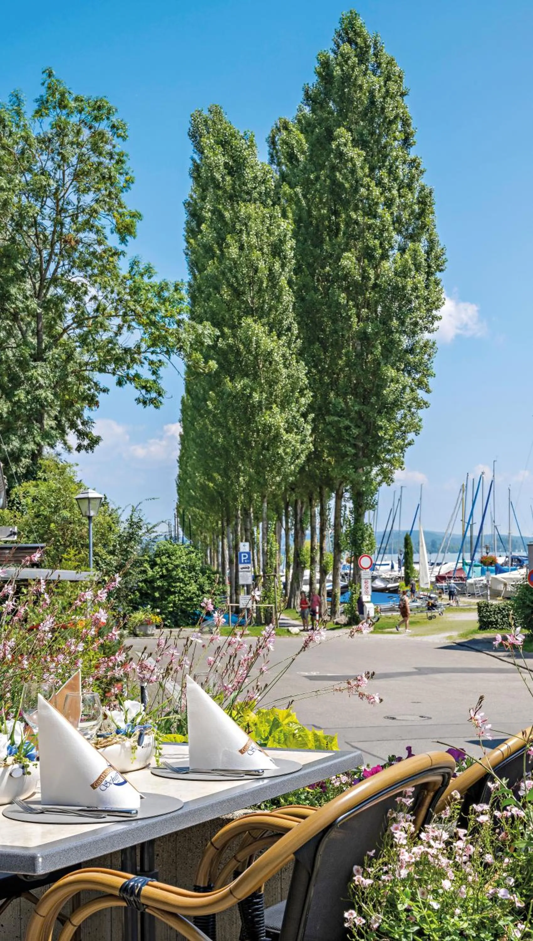 View (from property/room) in Gasthaus Schiff