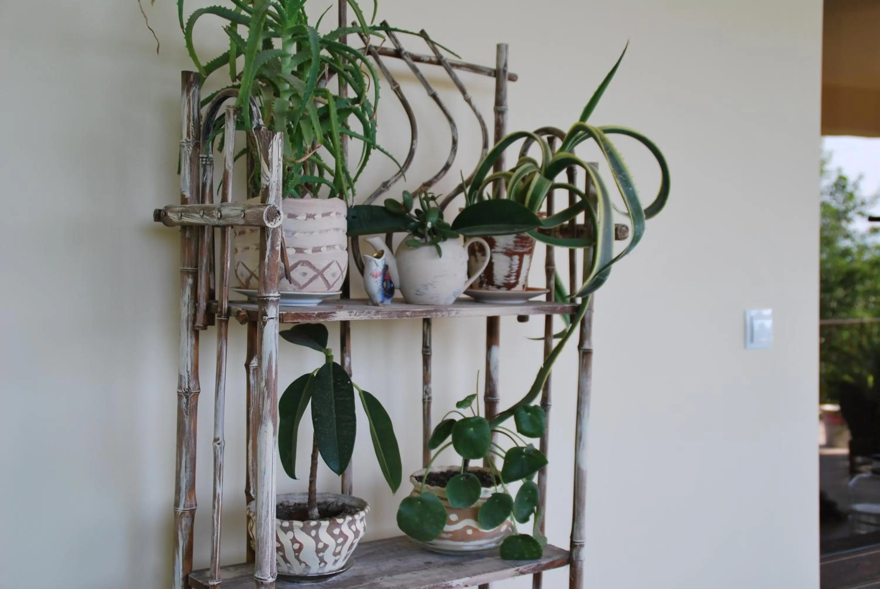 Balcony/Terrace in Shanshe