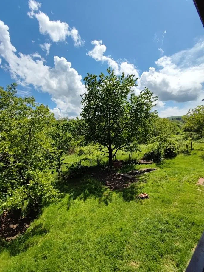 Garden view in Shanshe
