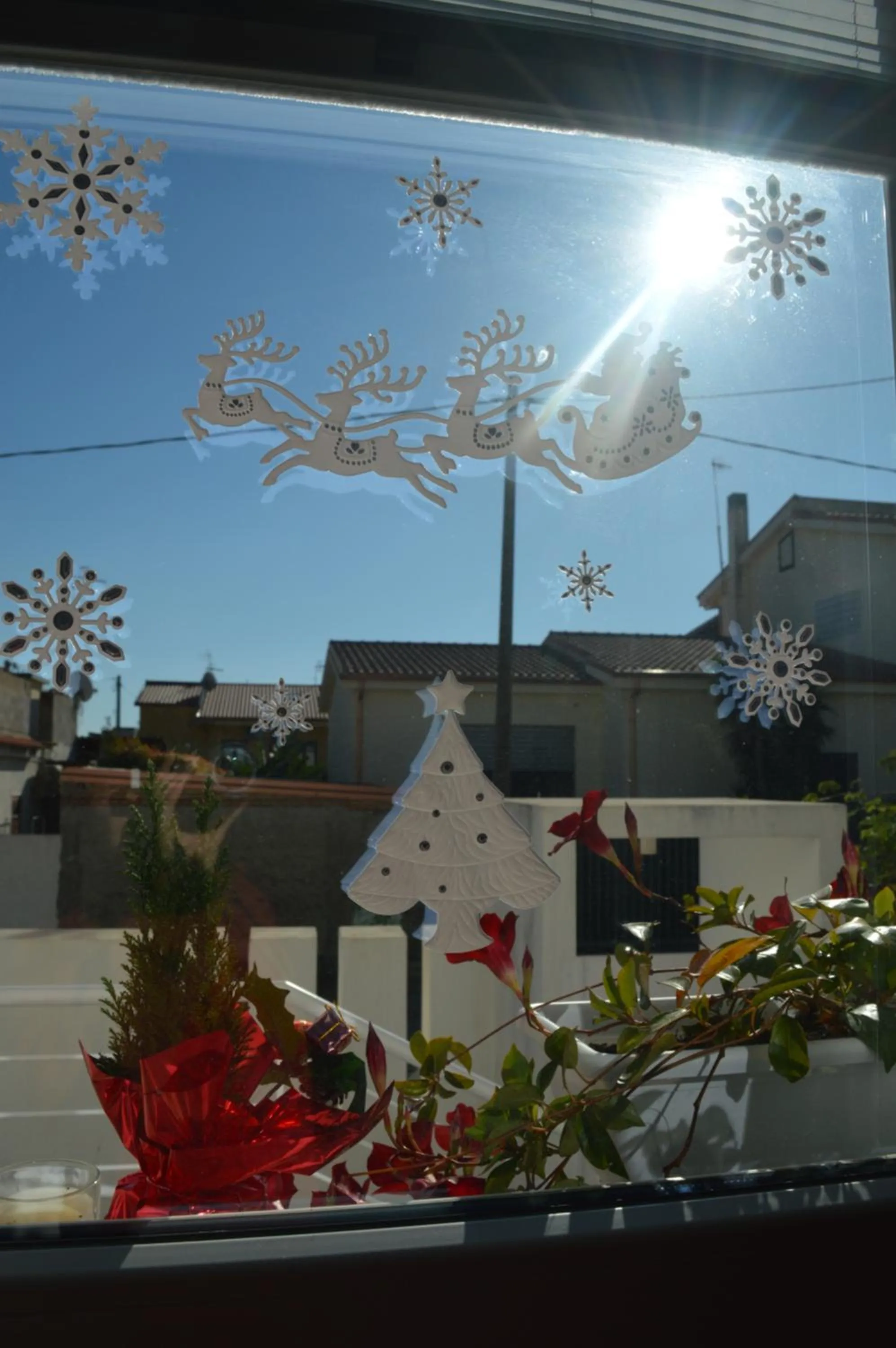 Bed and breakfast Villa Tota