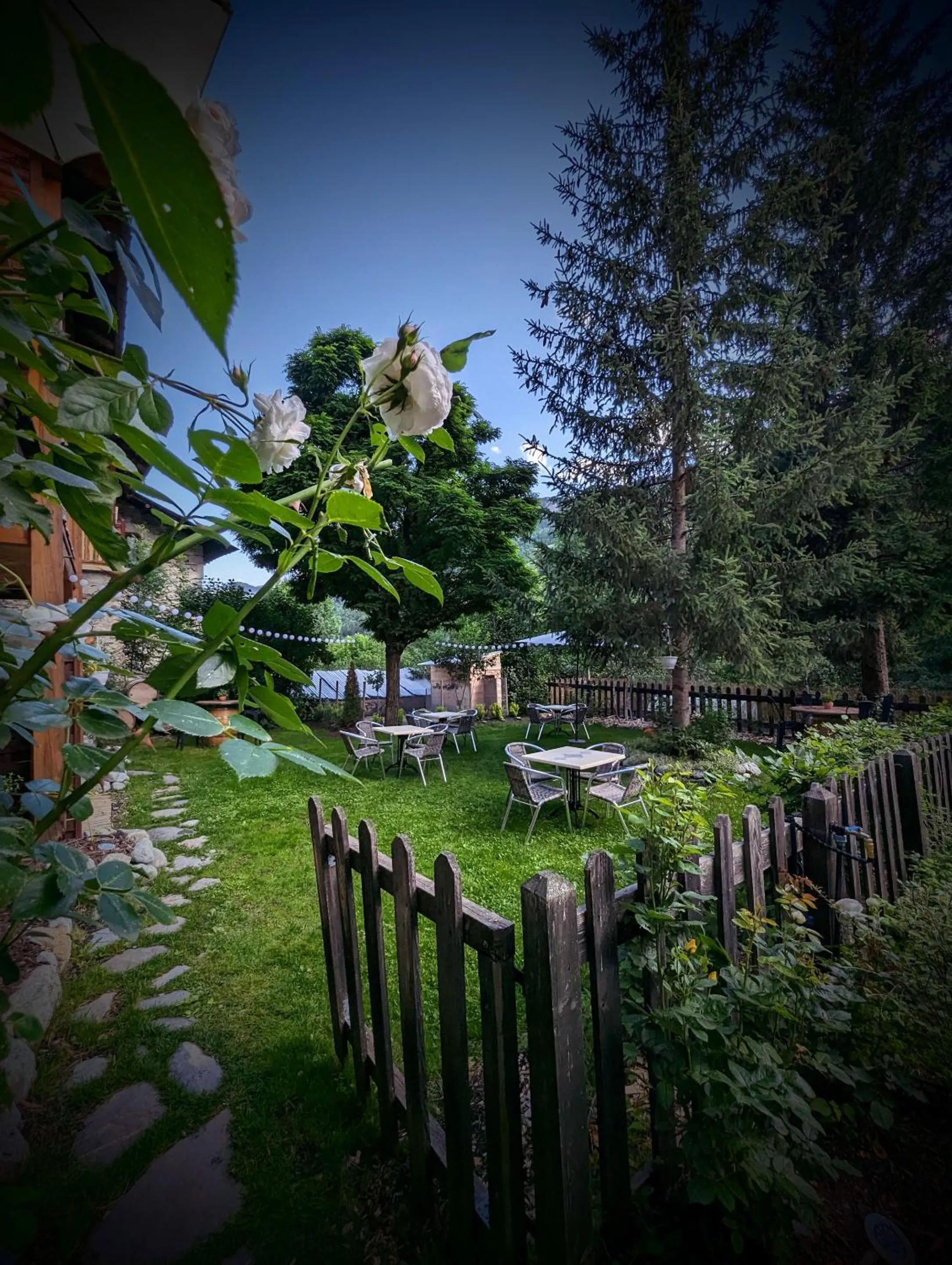 Garden in Auberge Saint Antoine