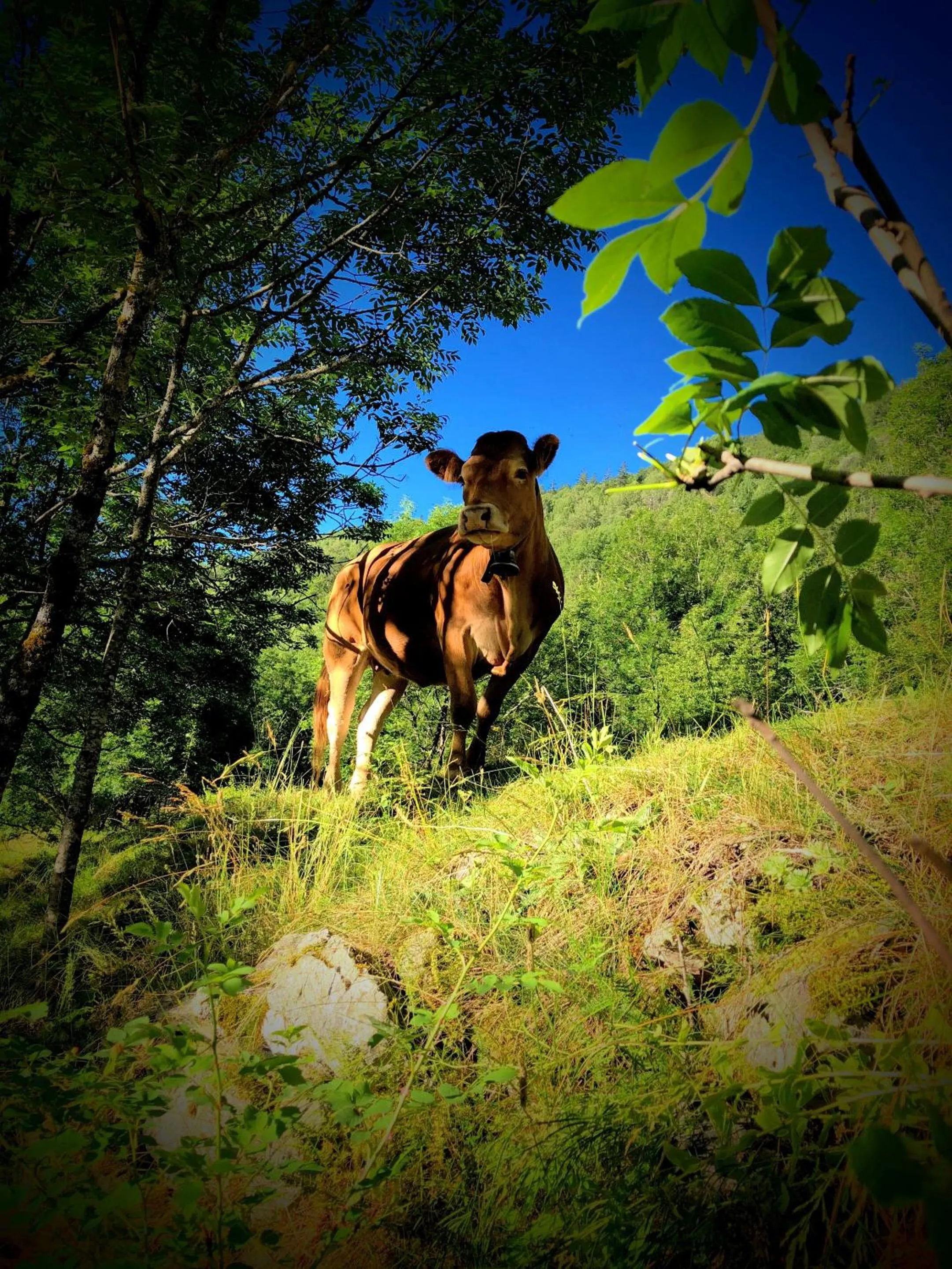 Neighbourhood in Auberge Saint Antoine