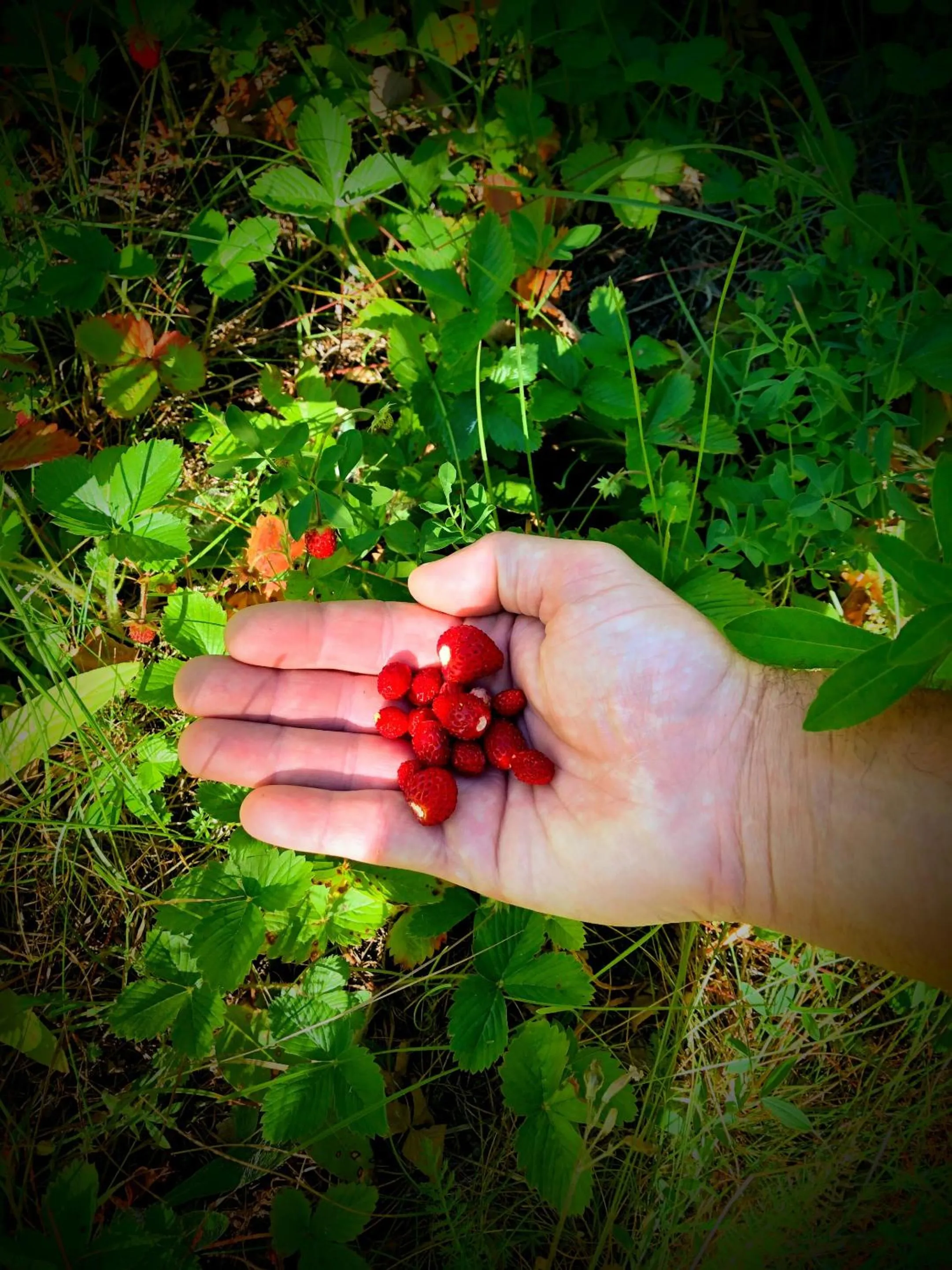 Neighbourhood in Auberge Saint Antoine