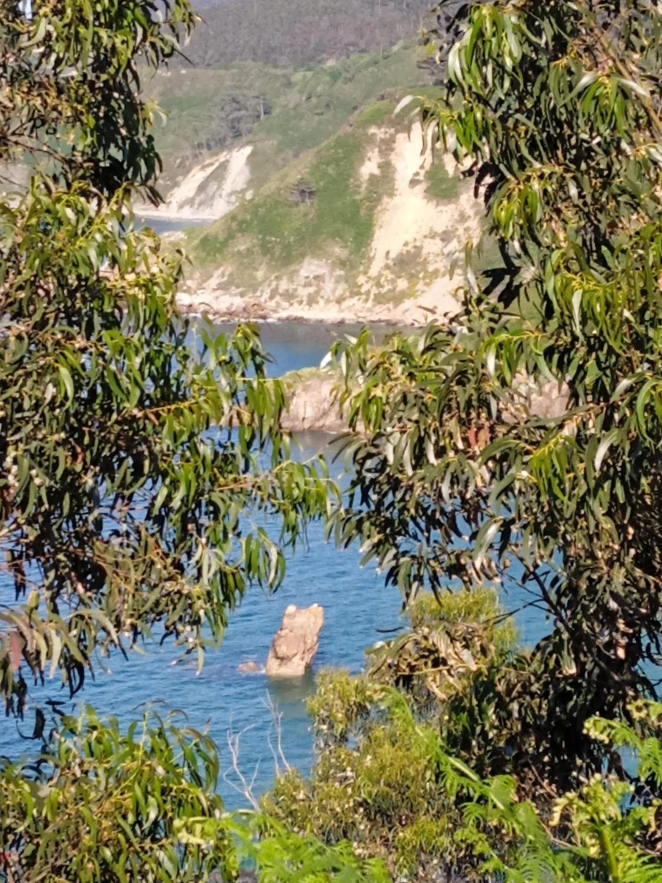 Natural landscape in Hotel Rural Montesomao