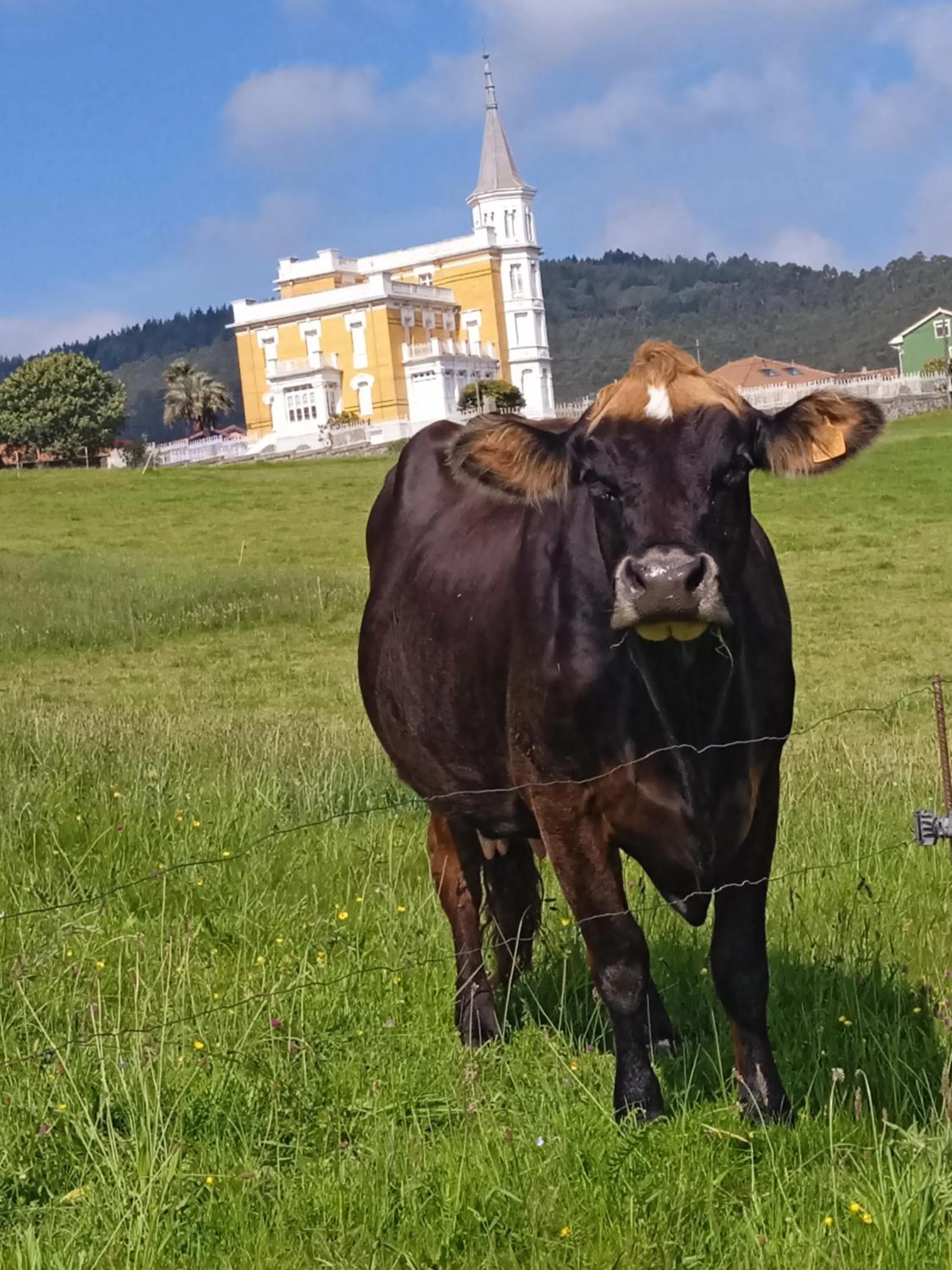 Animals in Hotel Rural Montesomao
