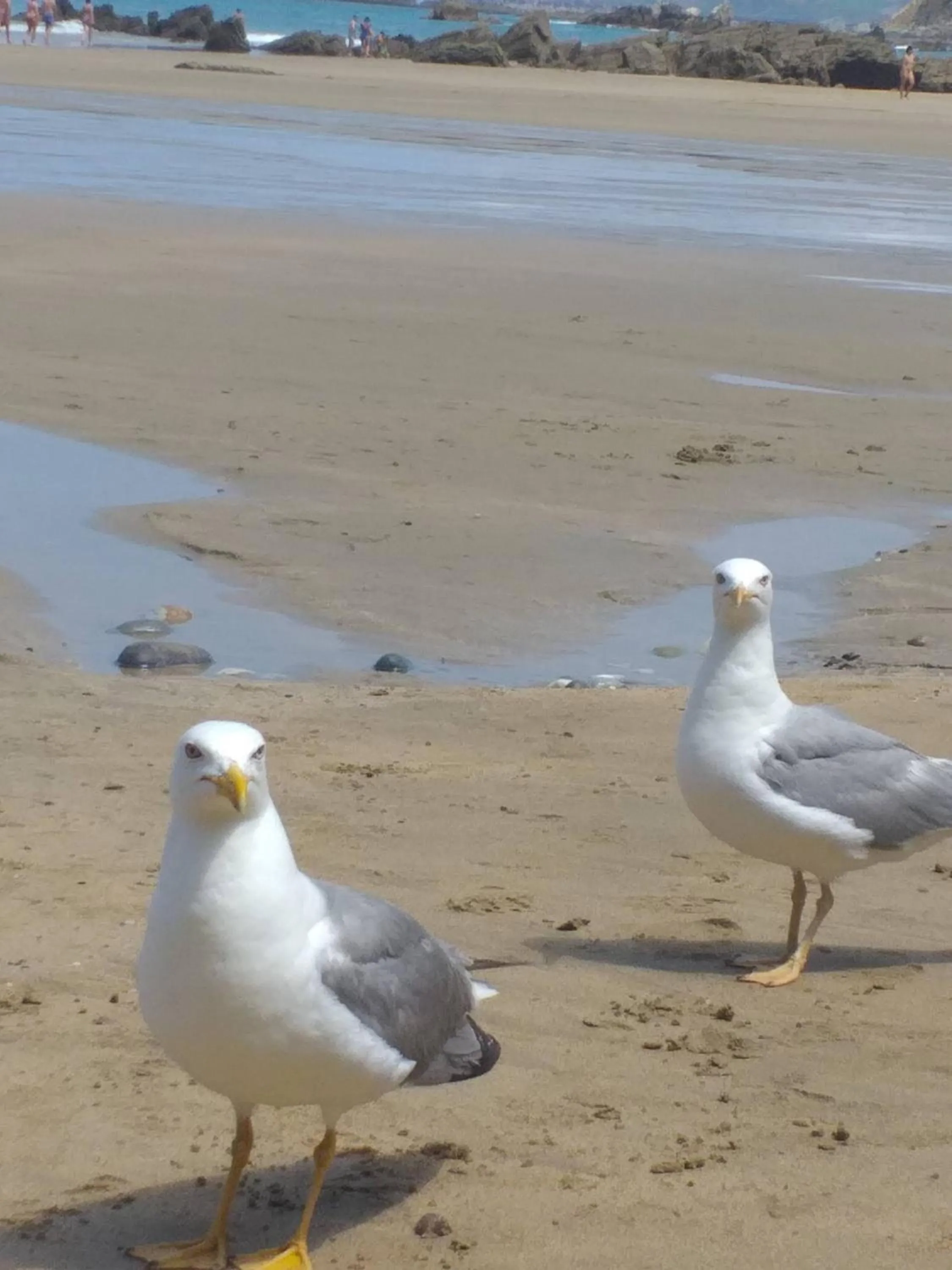 Beach in Hotel Rural Montesomao