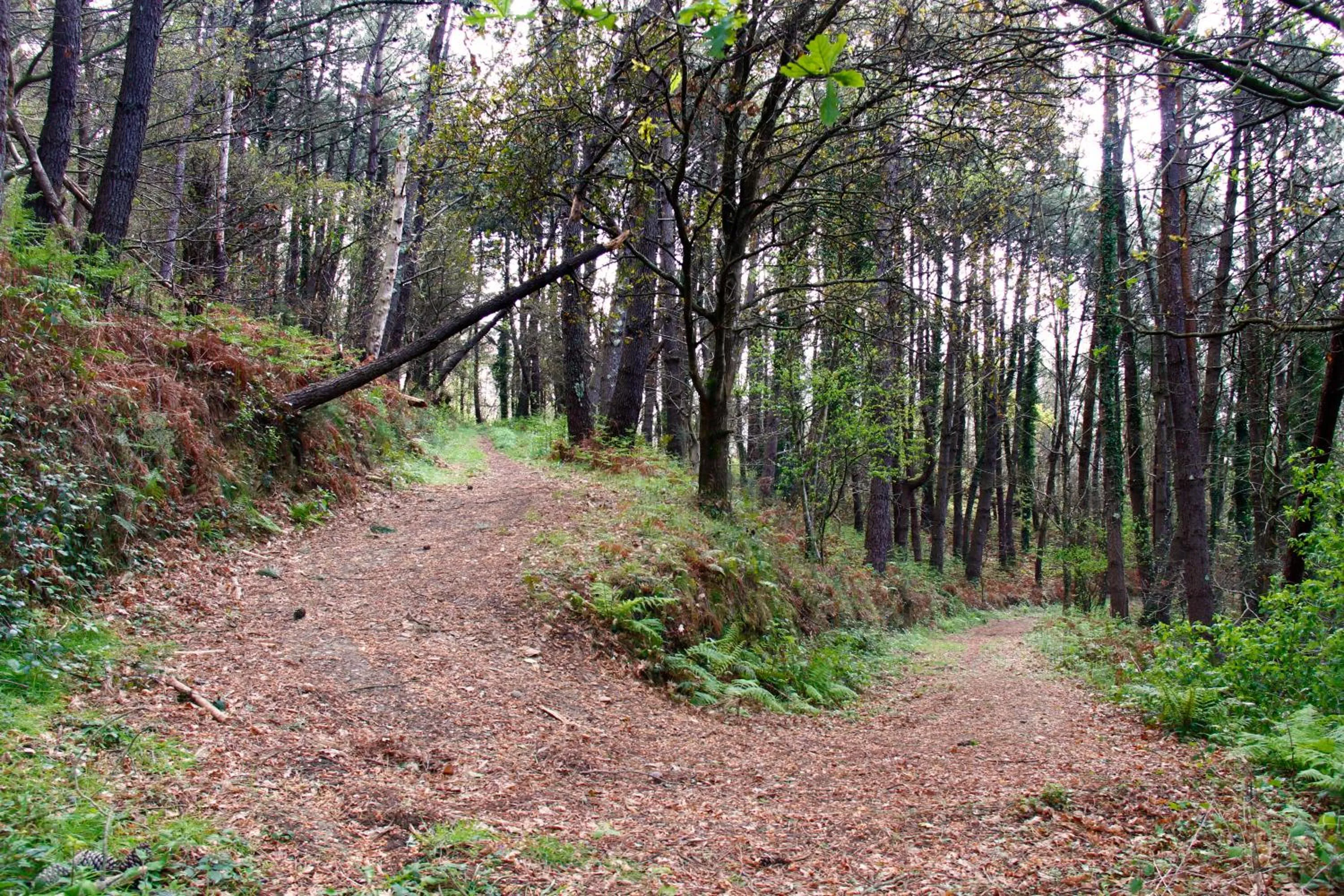Natural landscape in Hotel Rural Montesomao