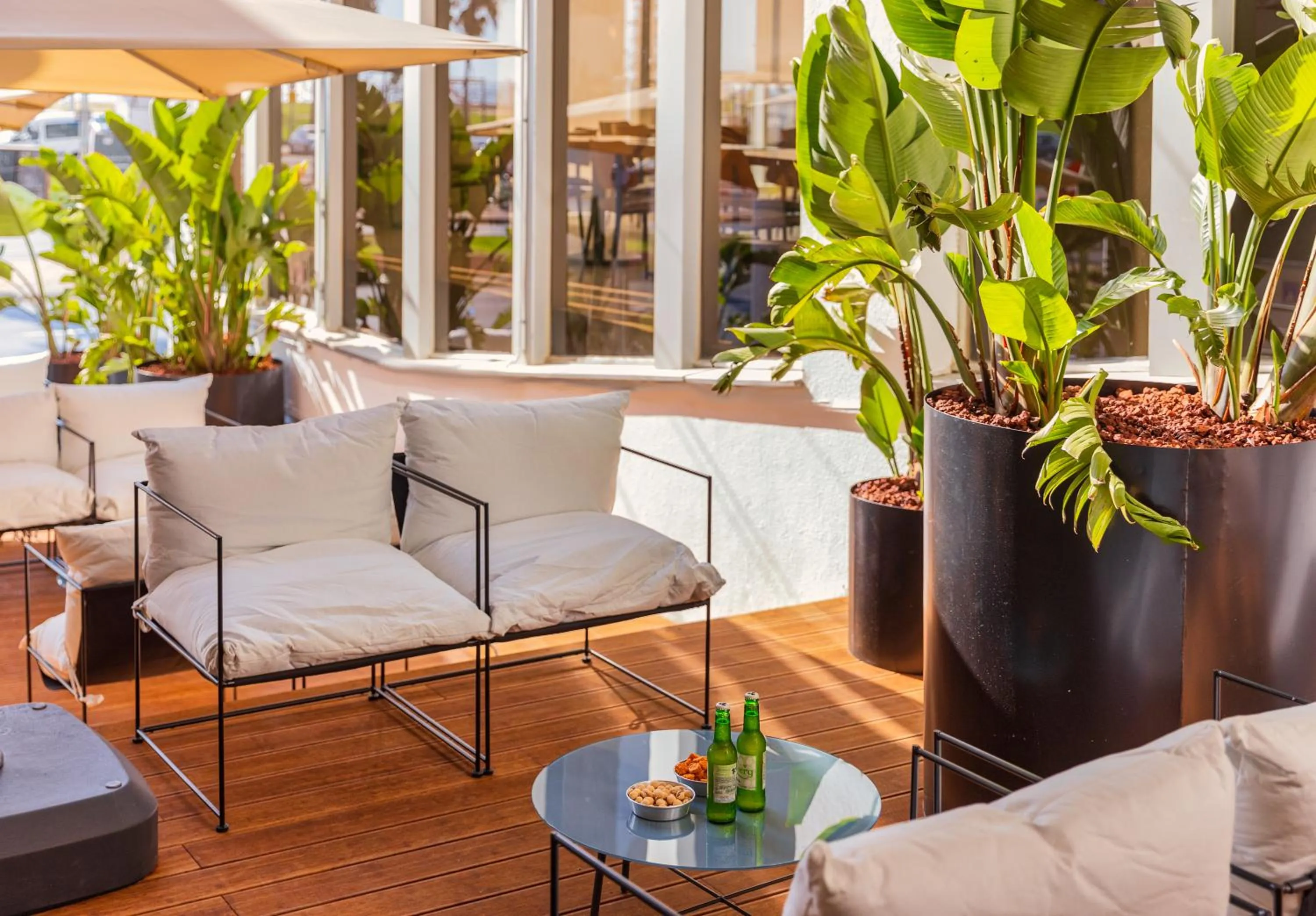 Balcony/Terrace in Brown Brut Seafront Hotel, a member of Brown Hotels