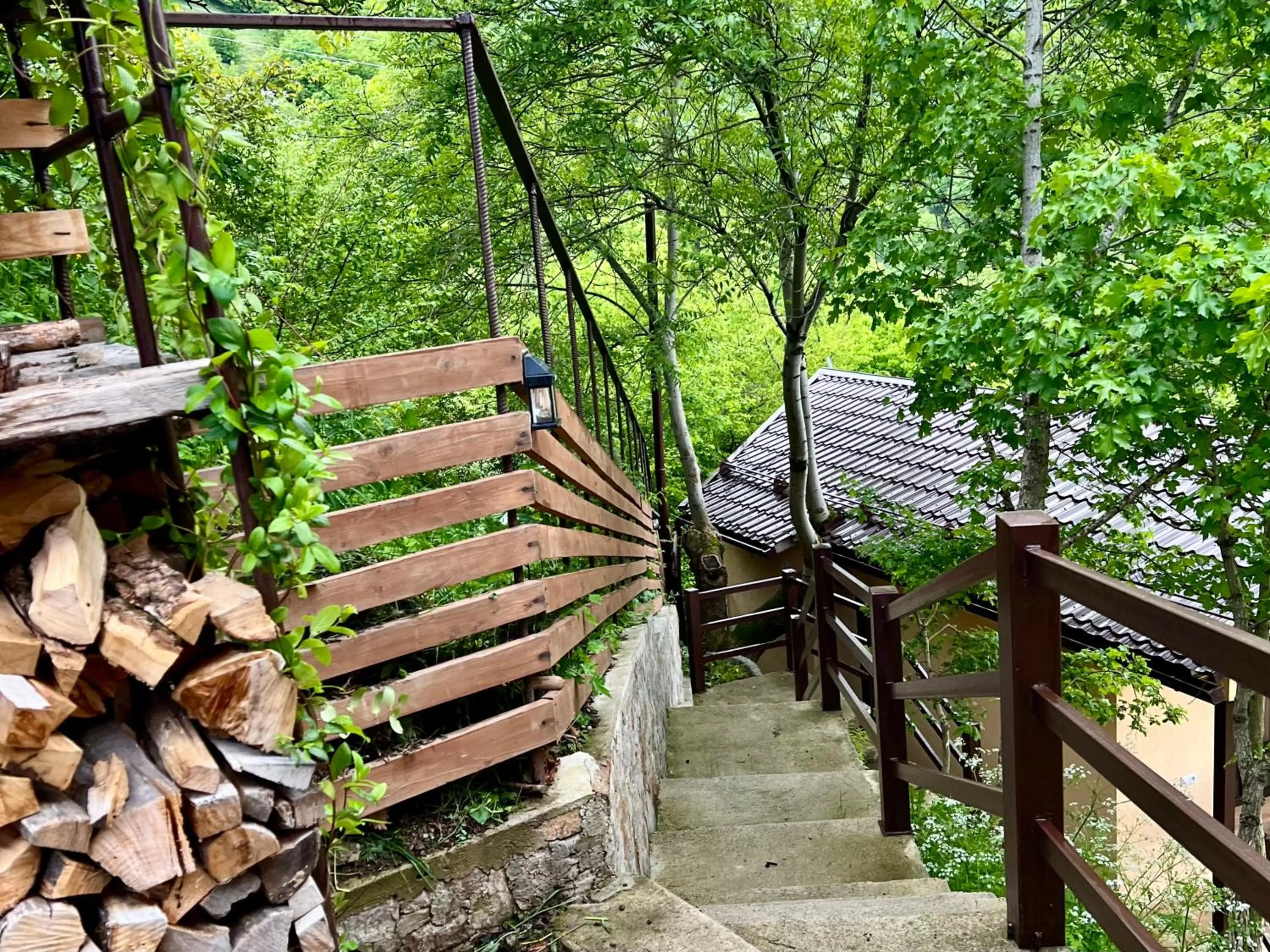 Spring in DiliVita Rest House