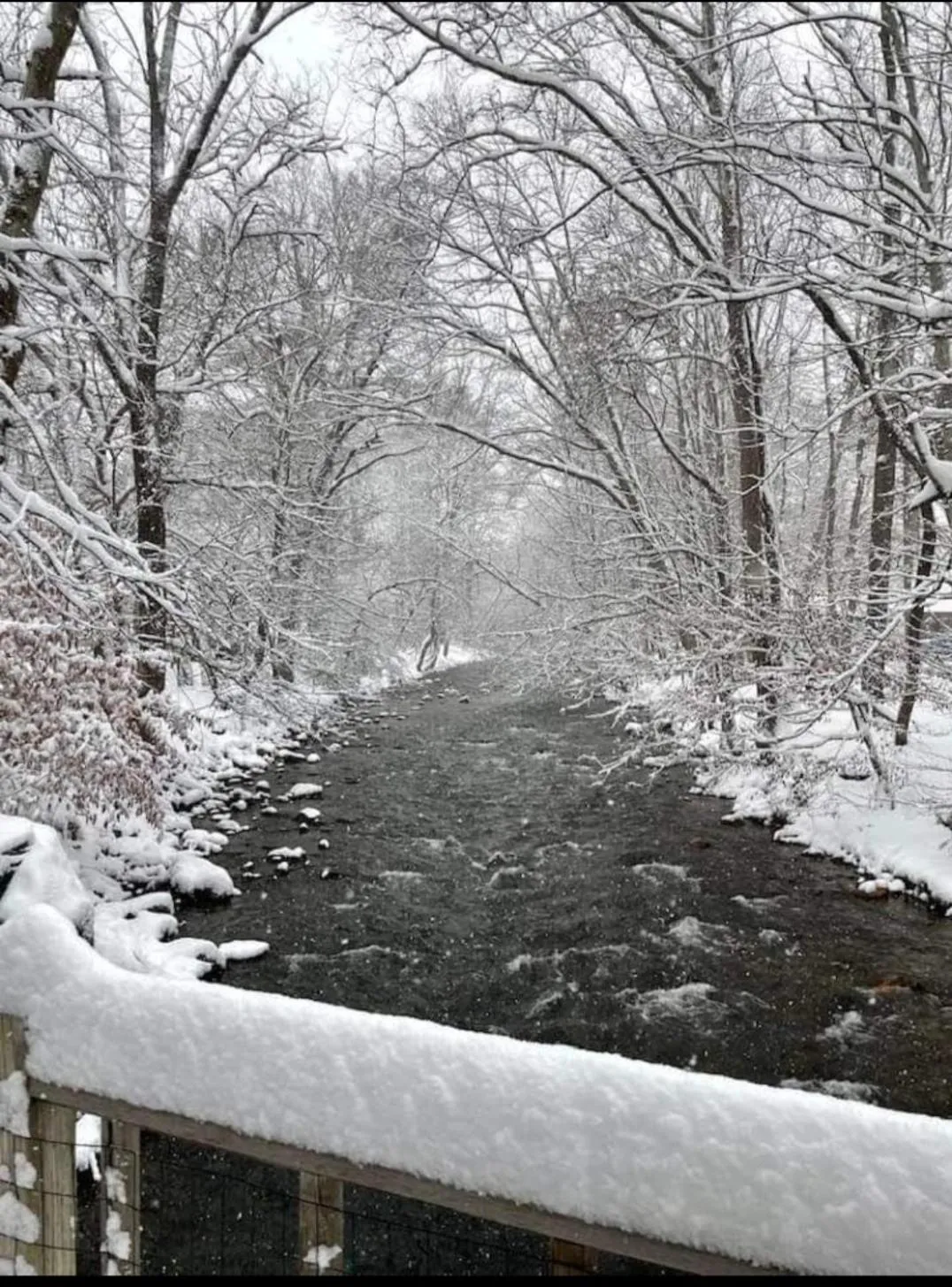 Property building in Cozy Creek Cottages
