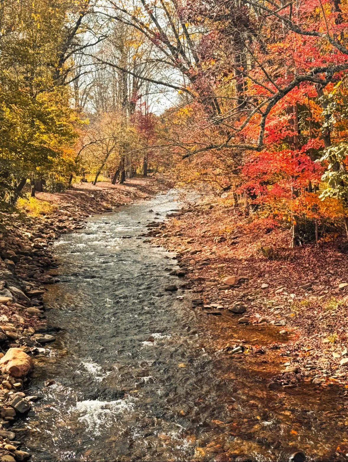 Property building in Cozy Creek Cottages
