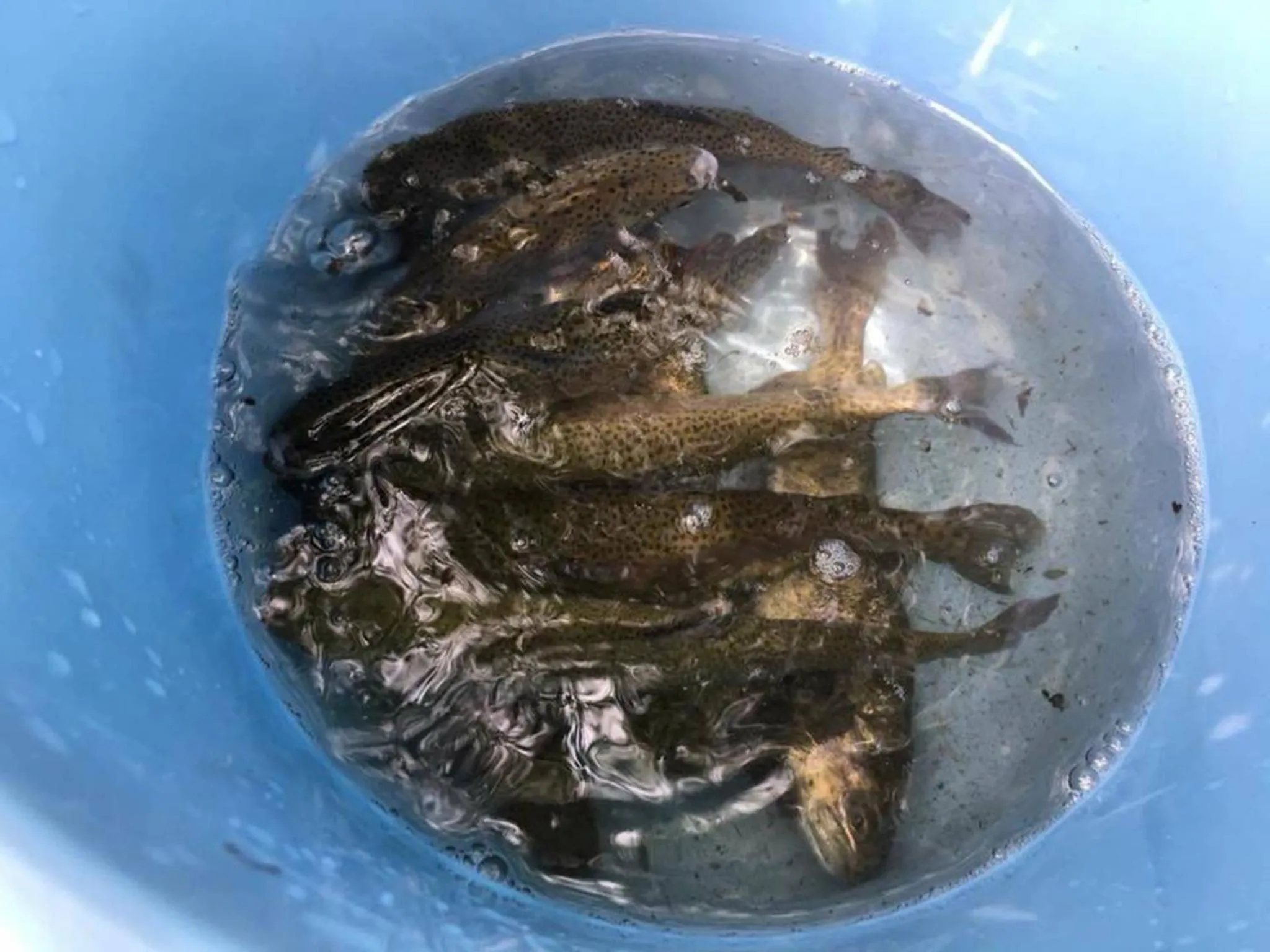 Oyado Fubuki - Vacation STAY 45516v