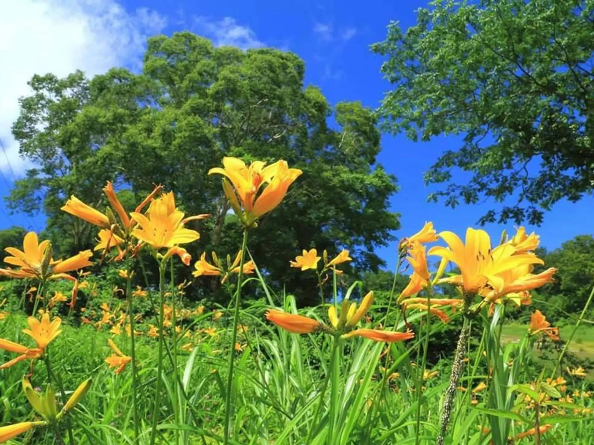 Oyado Fubuki - Vacation STAY 45515v