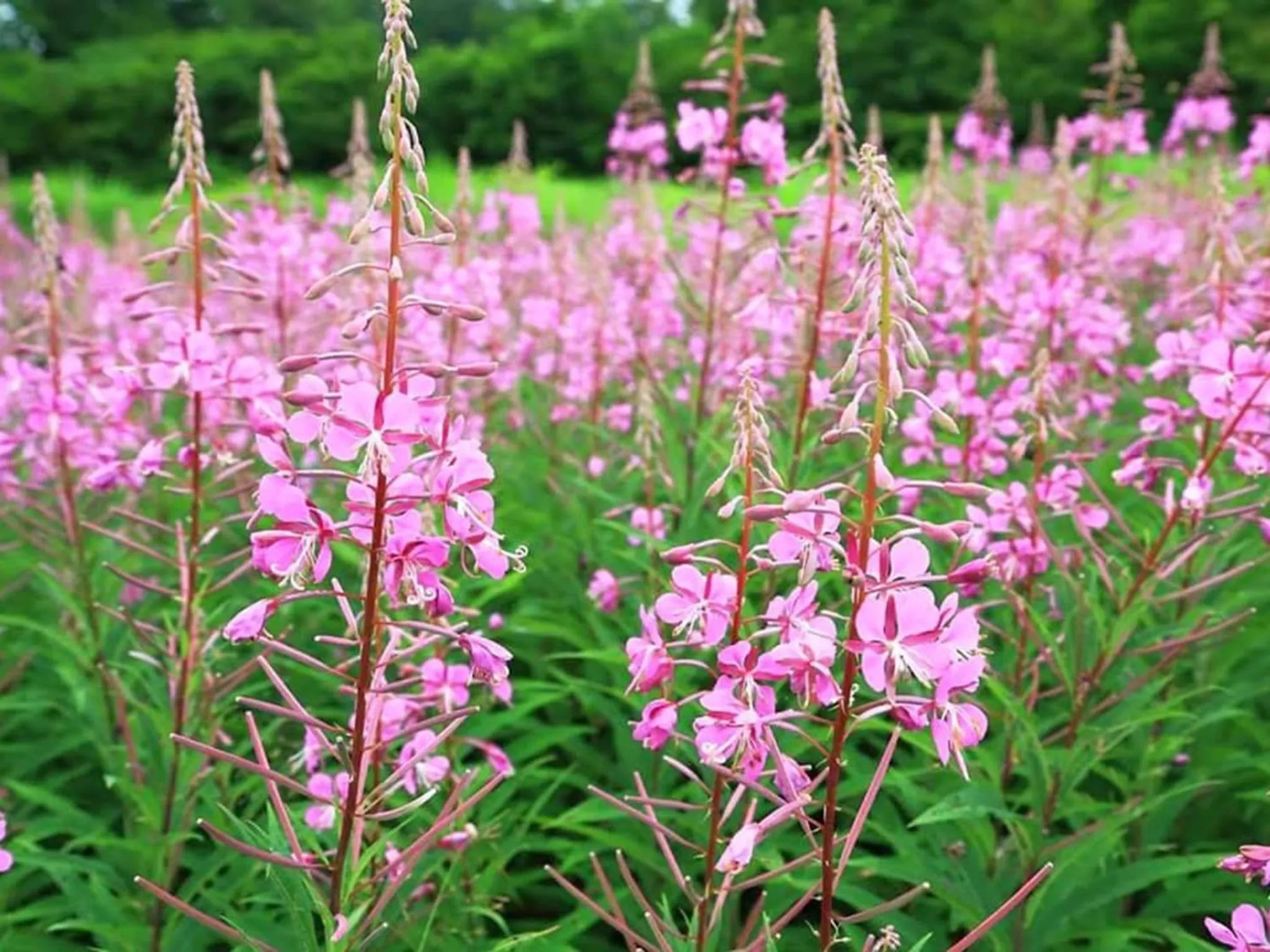 Oyado Fubuki - Vacation STAY 45506v