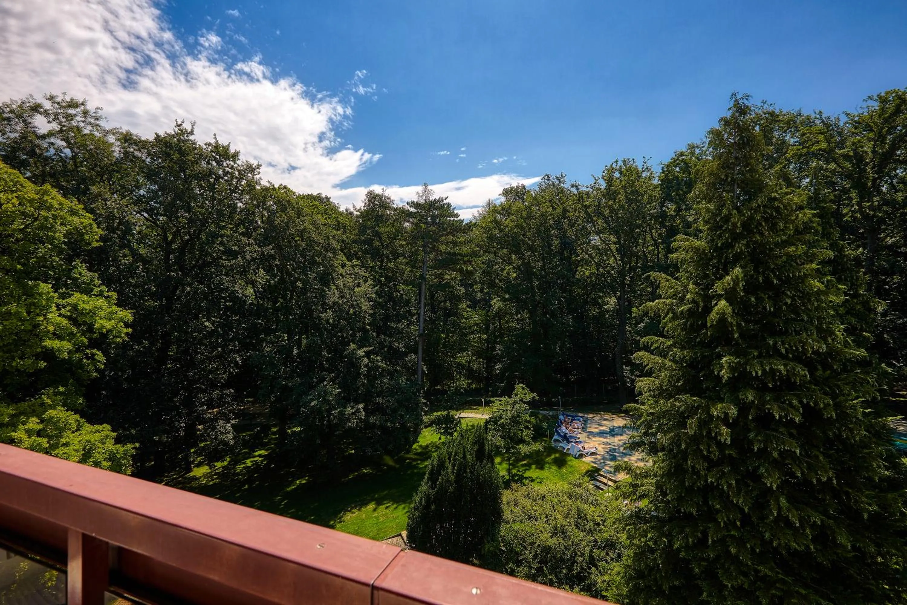 Garden in Hotel Lövér Sopron