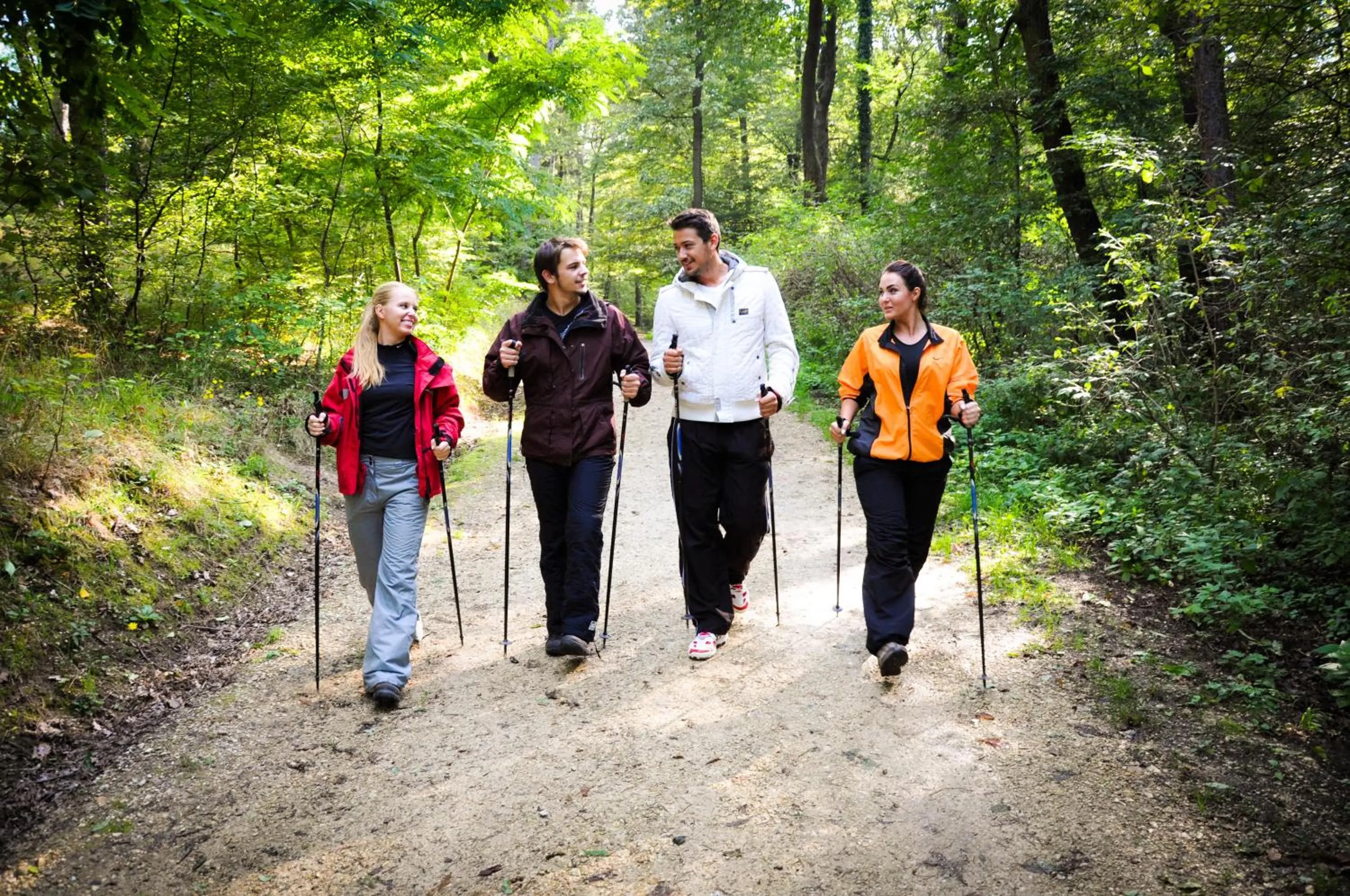 Sports in Hotel Lövér Sopron