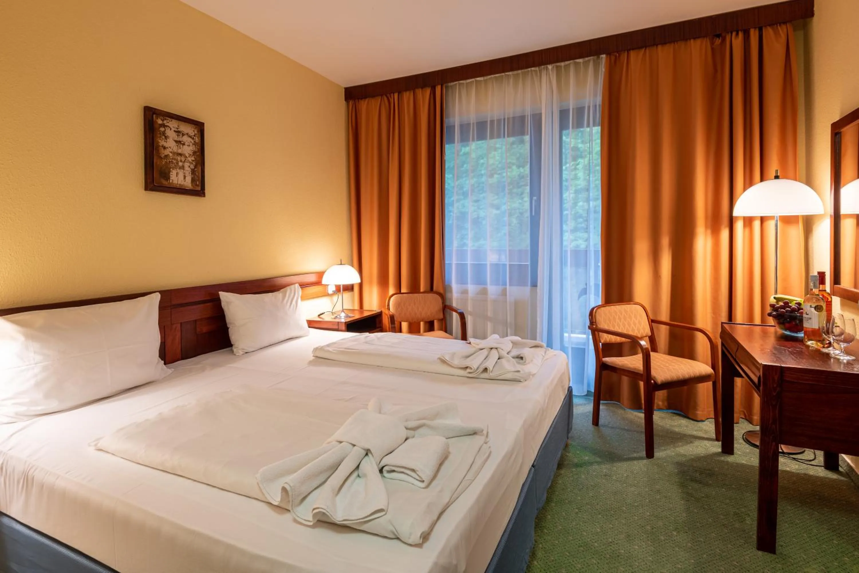 Photo of the whole room, Bed in Hotel Lövér Sopron