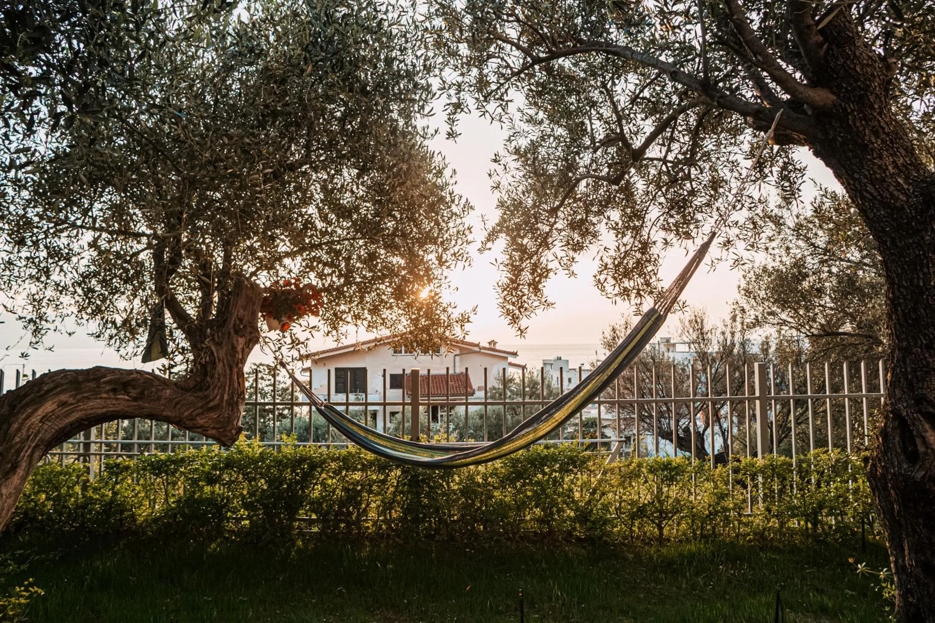 Garden in Hotel SUNSET GL