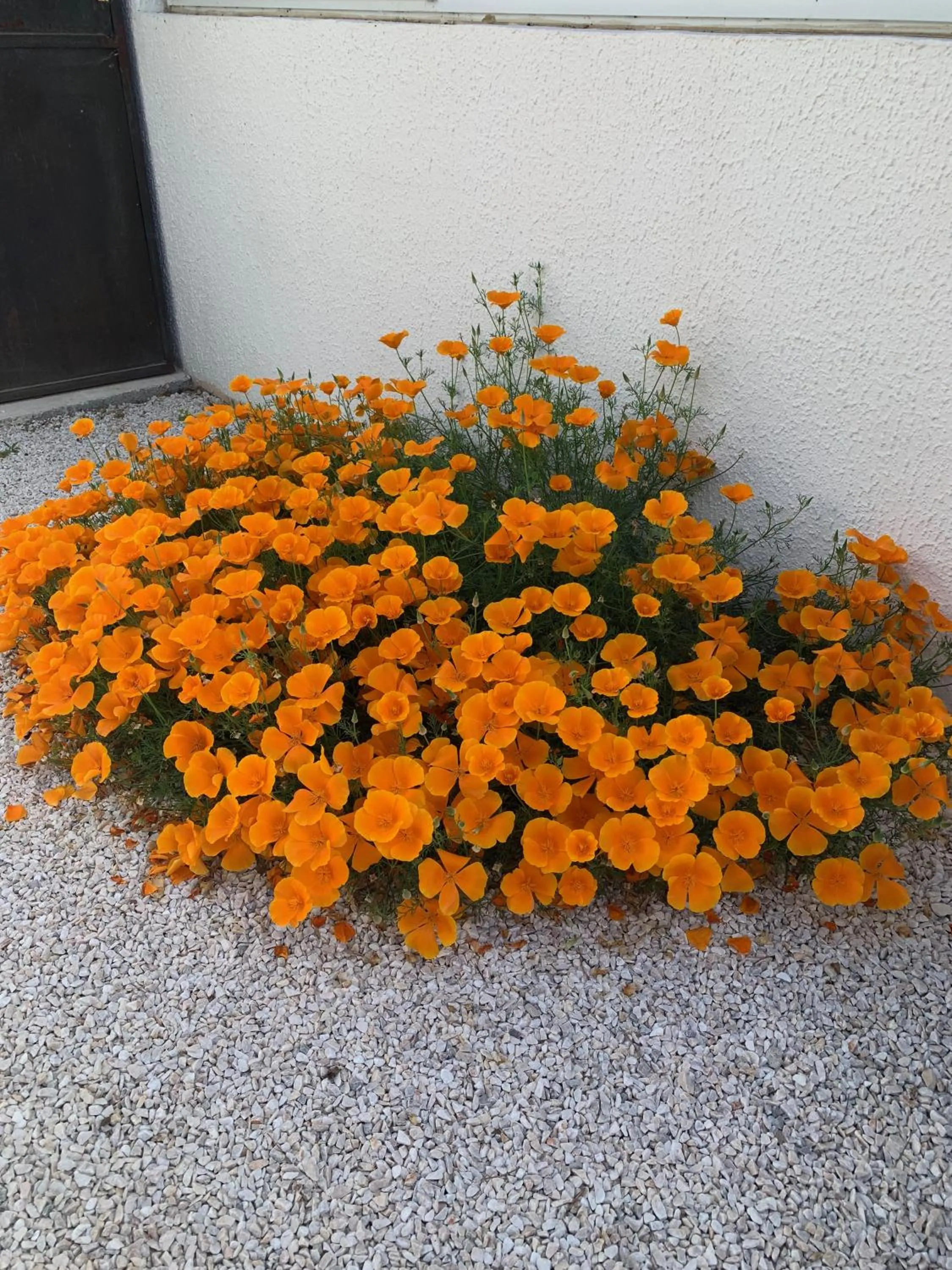 Appartement dans maison d'artiste