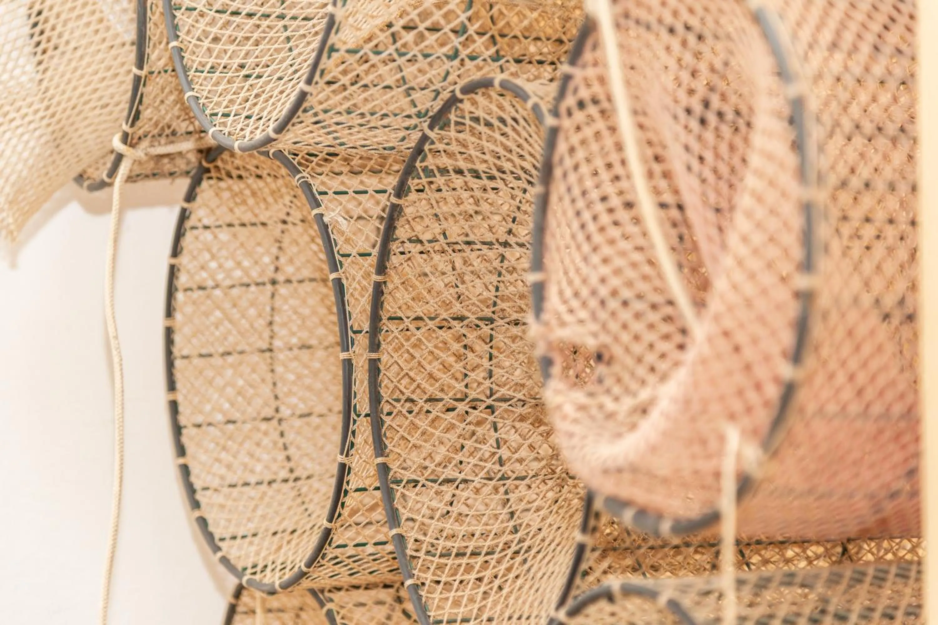 Decorative detail in B&B Calamoresca