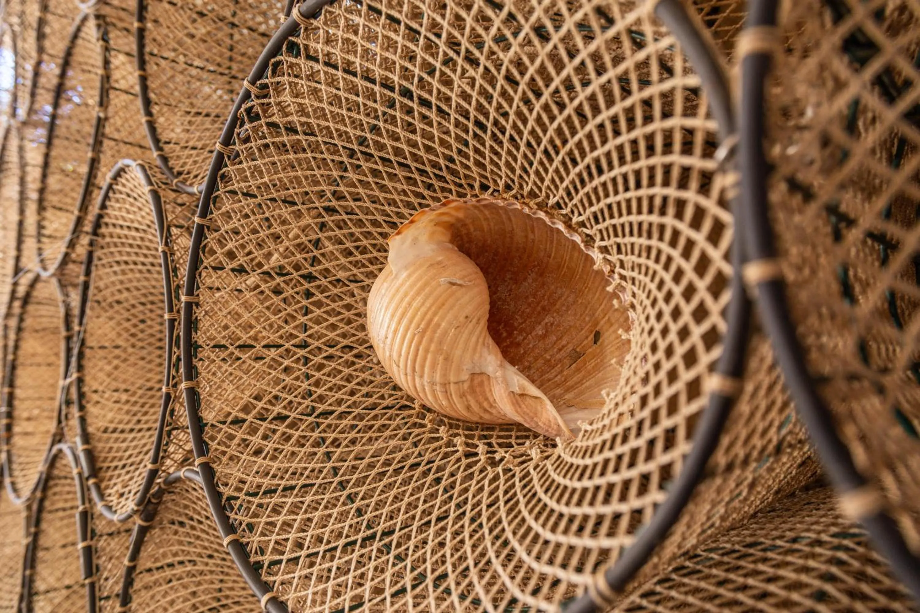 Decorative detail in B&B Calamoresca