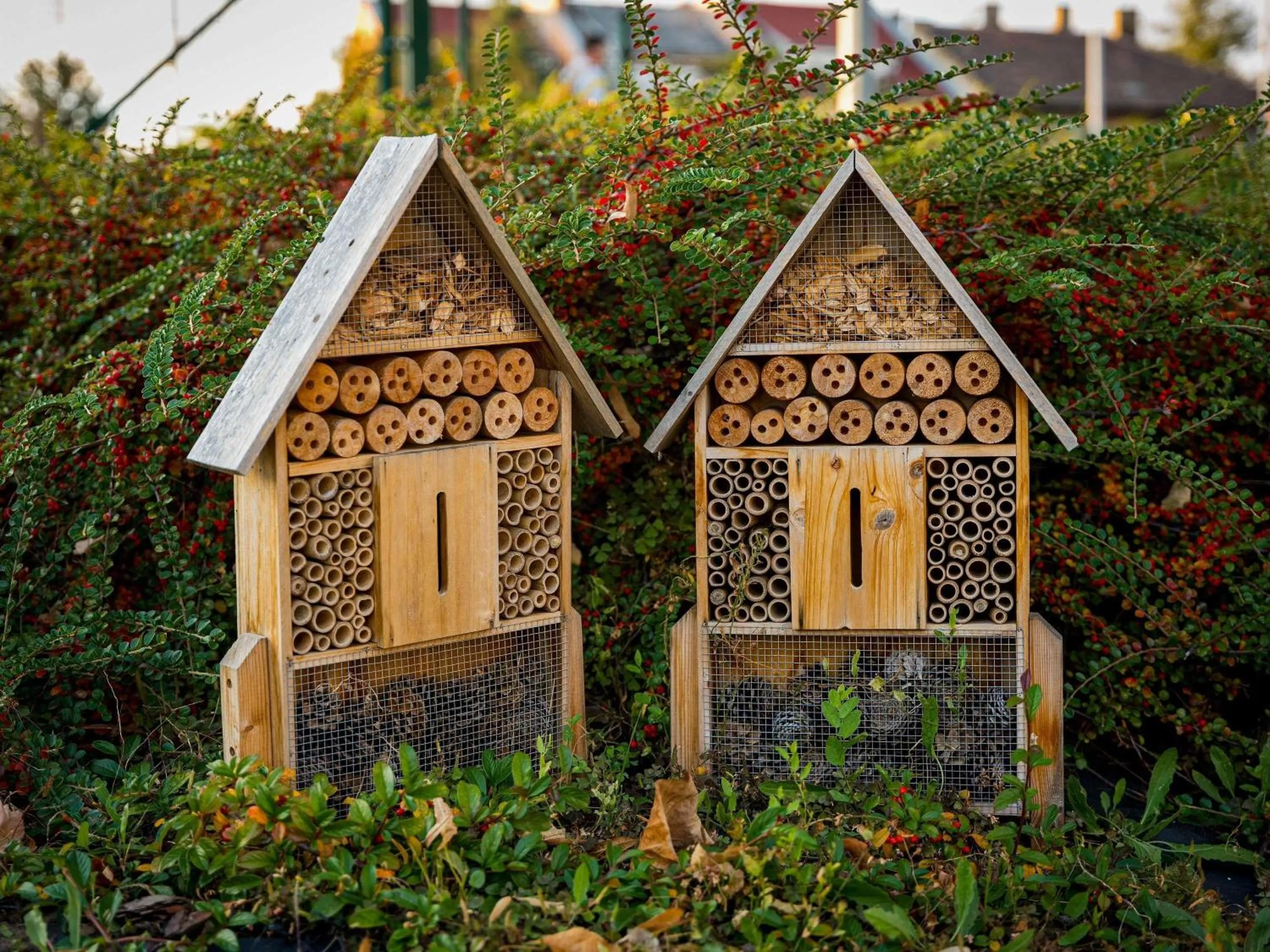 Other in ibis Styles Budapest Citywest