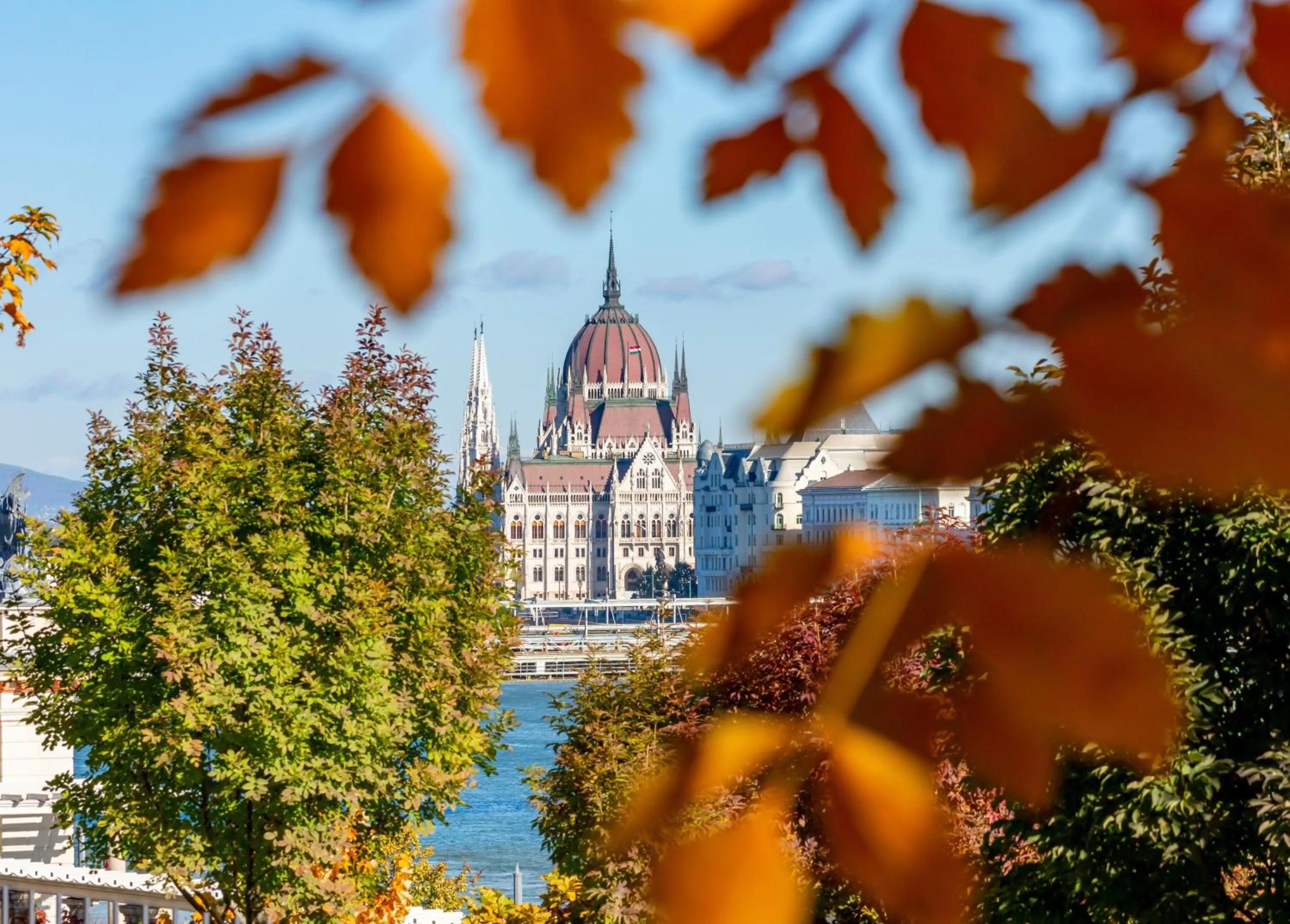 Pets in Verdi Budapest Aquincum