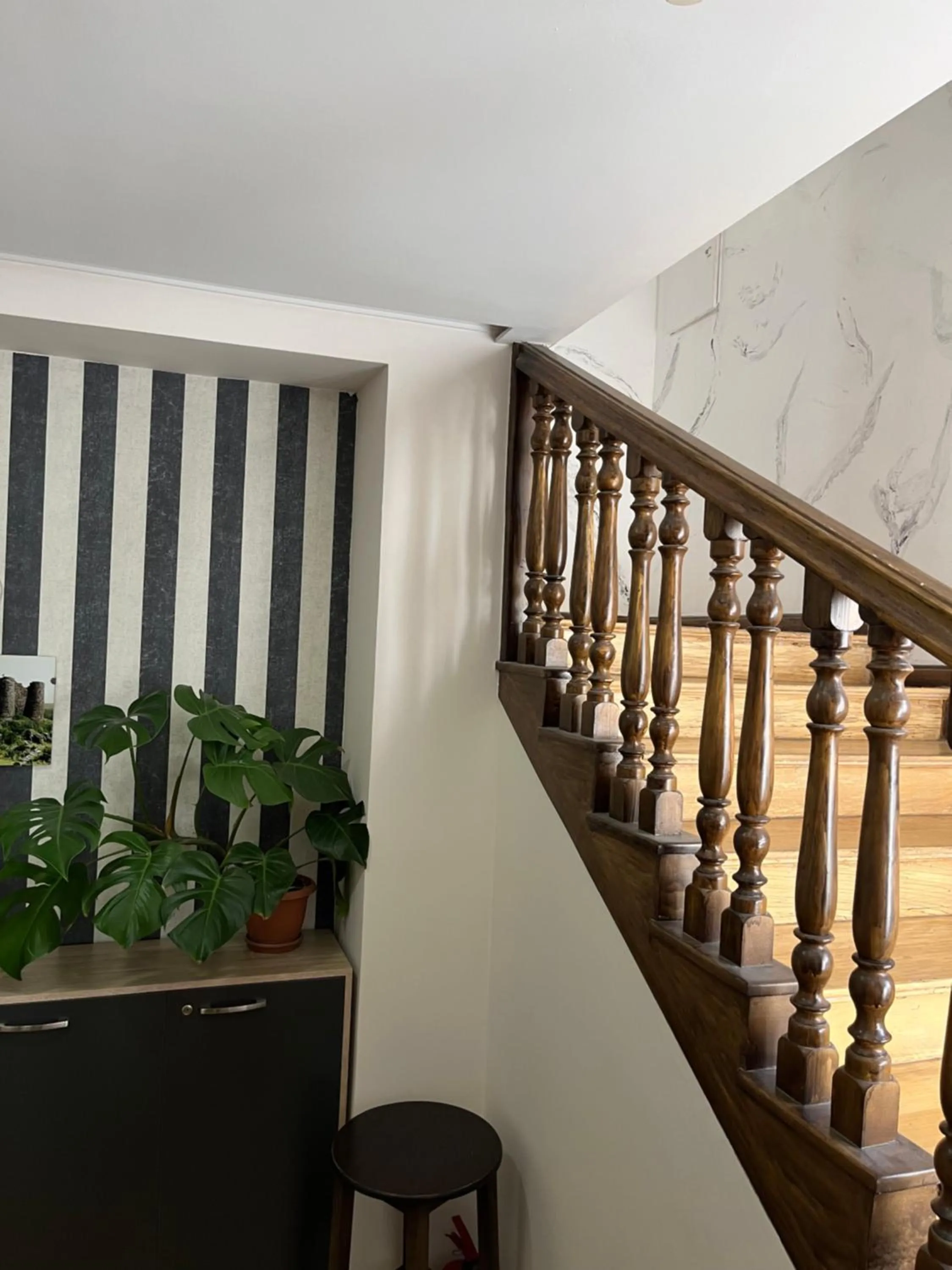 Area and facilities in Olive hotel