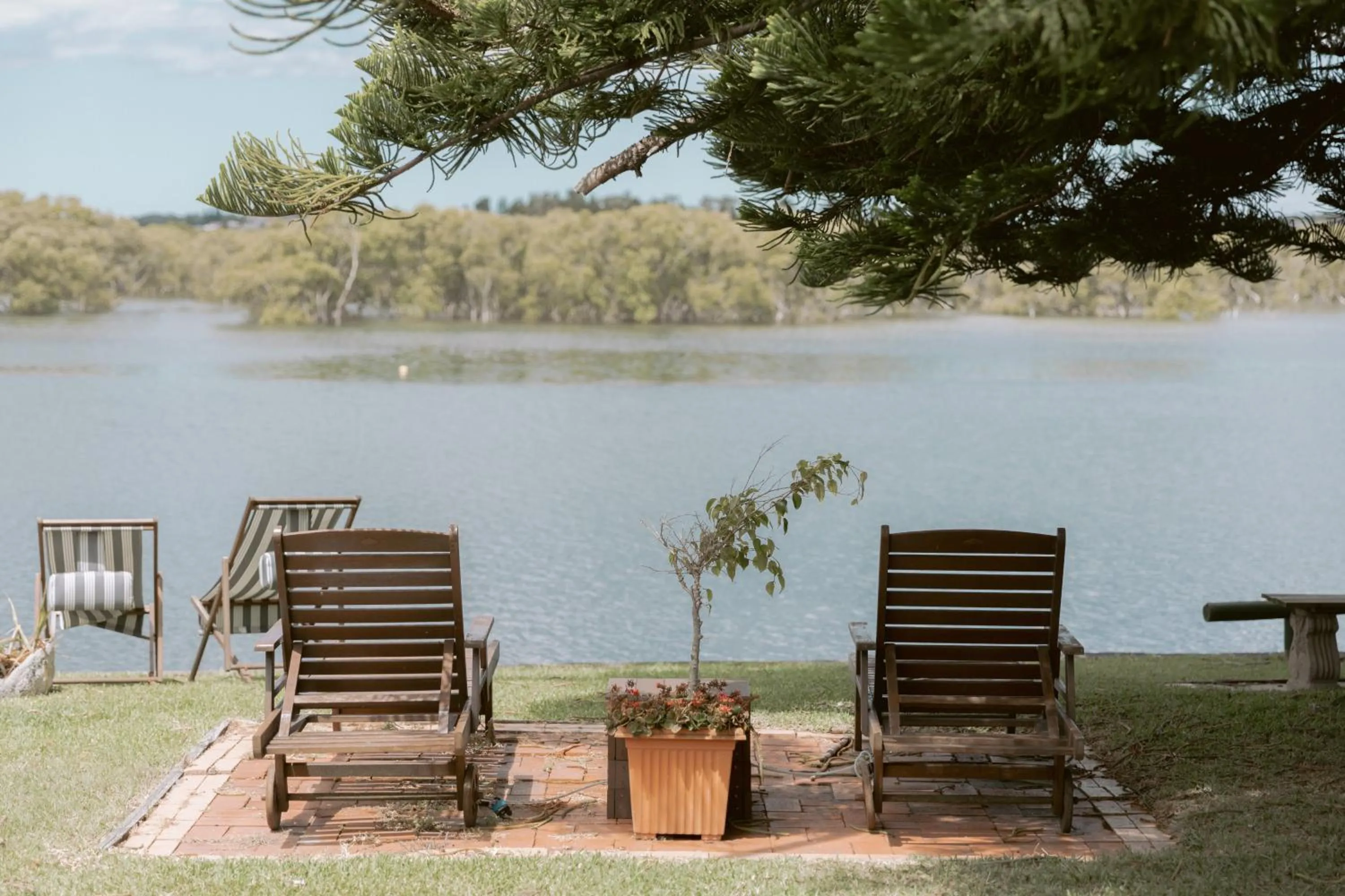 Black Swan Waterfront Motel