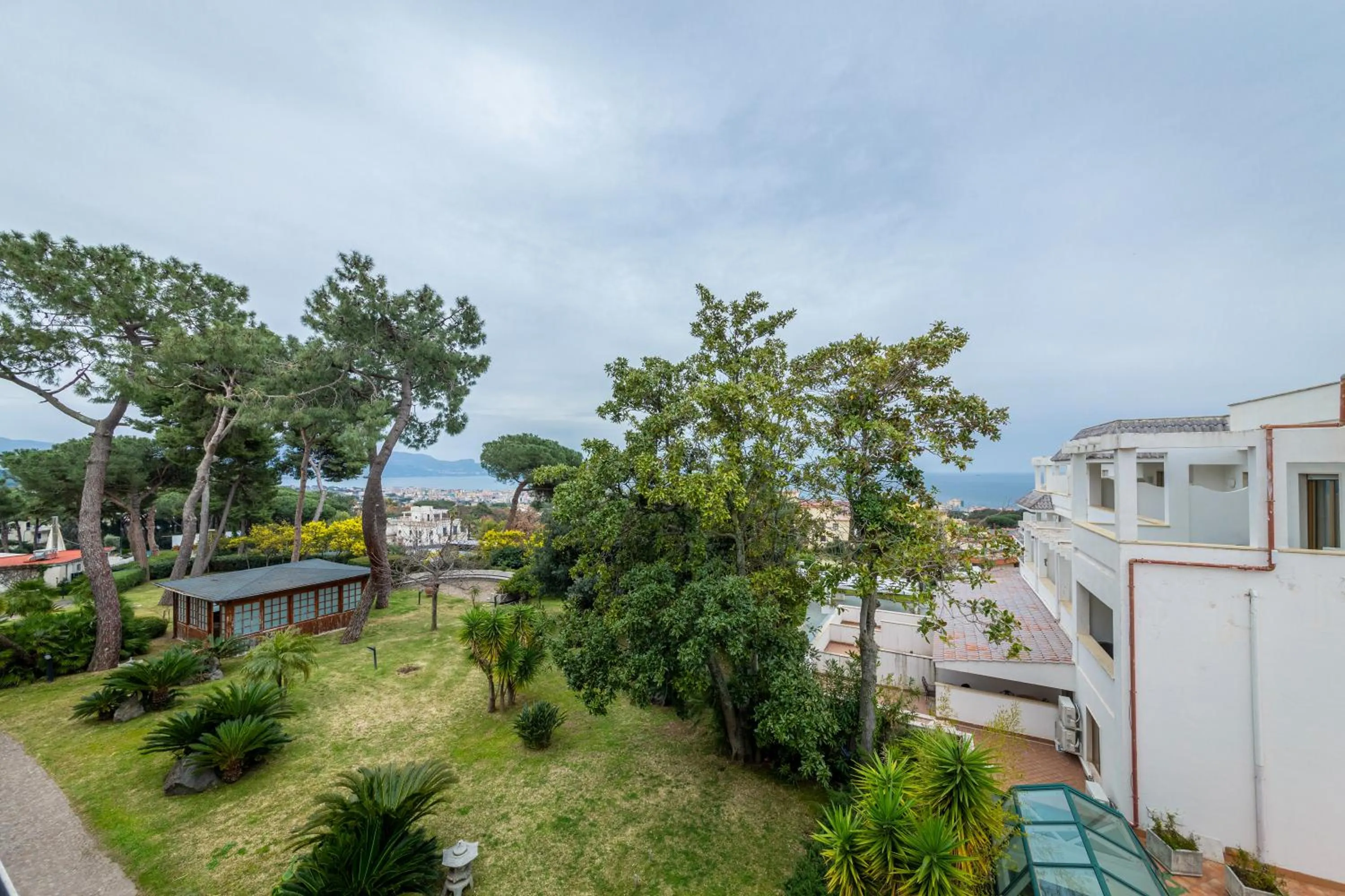 Garden view in Hotel Sakura