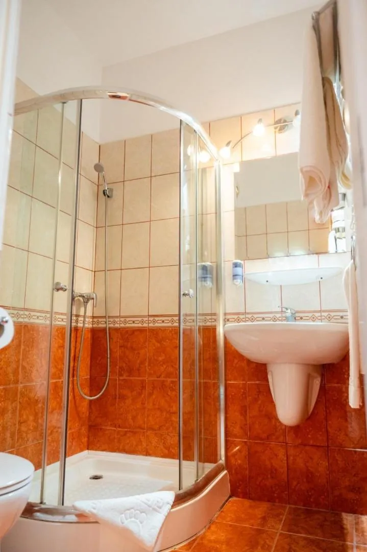 Shower in Hotel Manzard Panzio