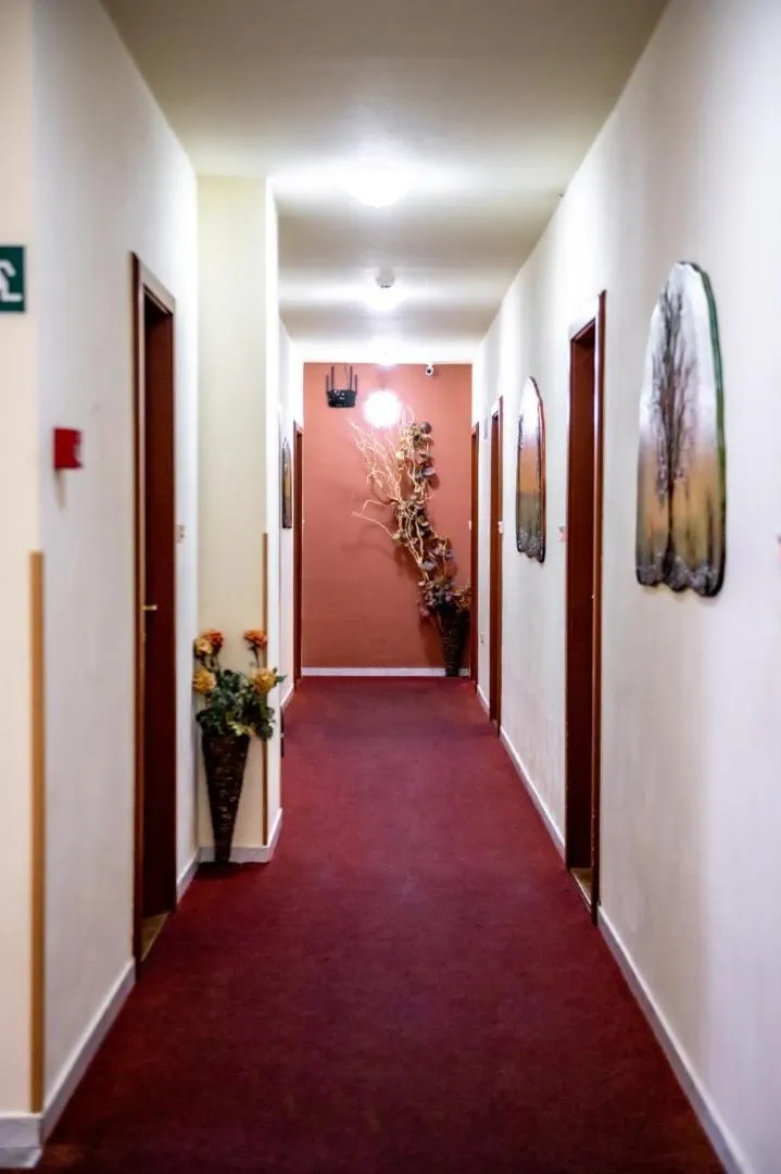 Property building in Hotel Manzard Panzio