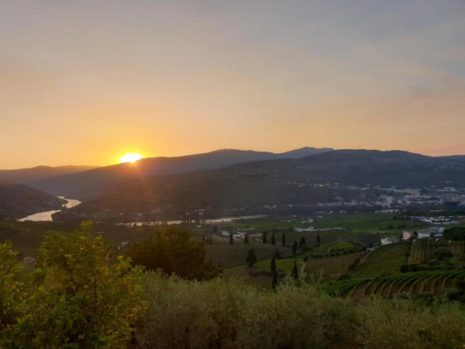 Natural landscape in Golden Mirror