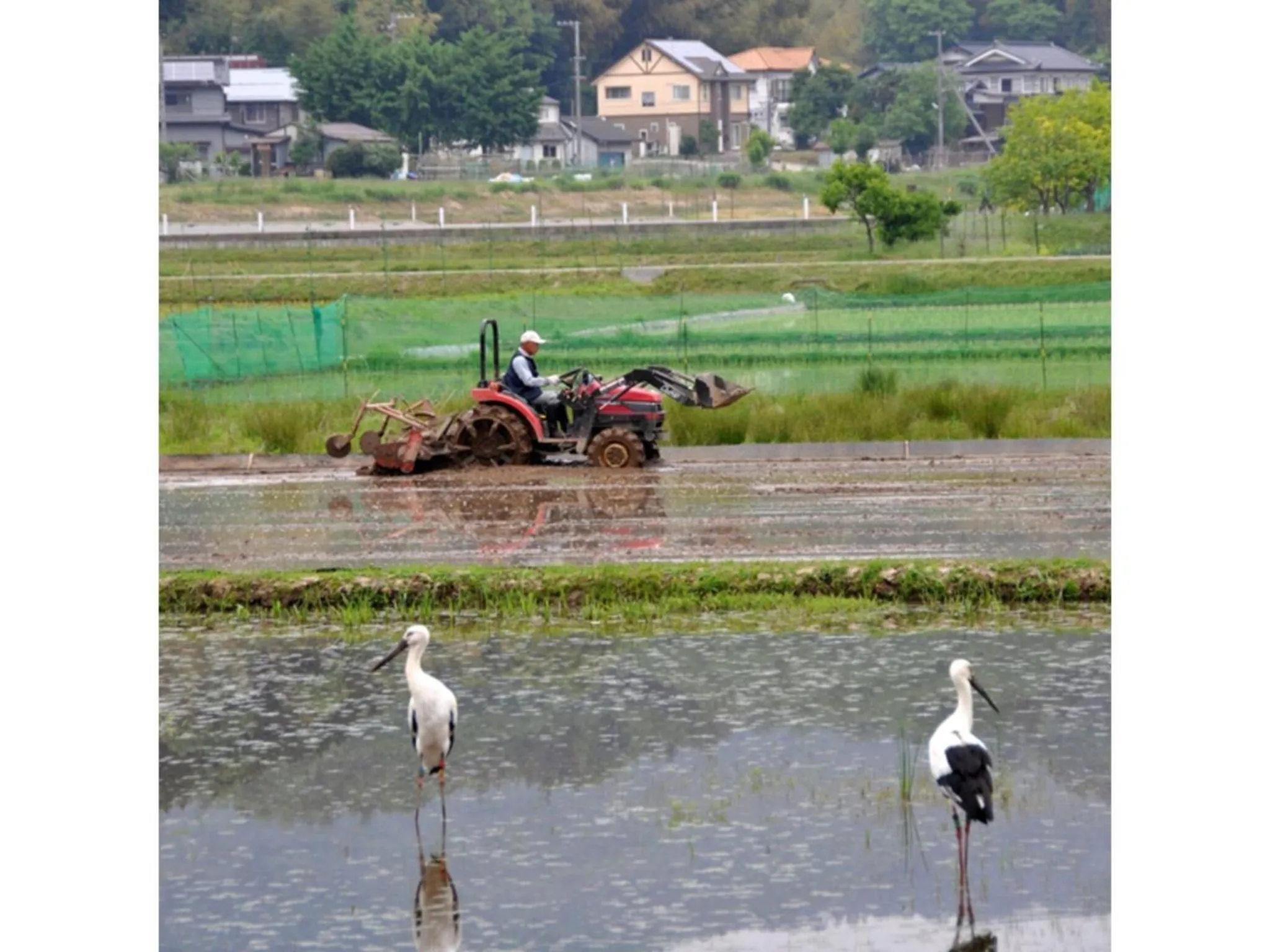 Pure Hotel - Vacation STAY 44183v