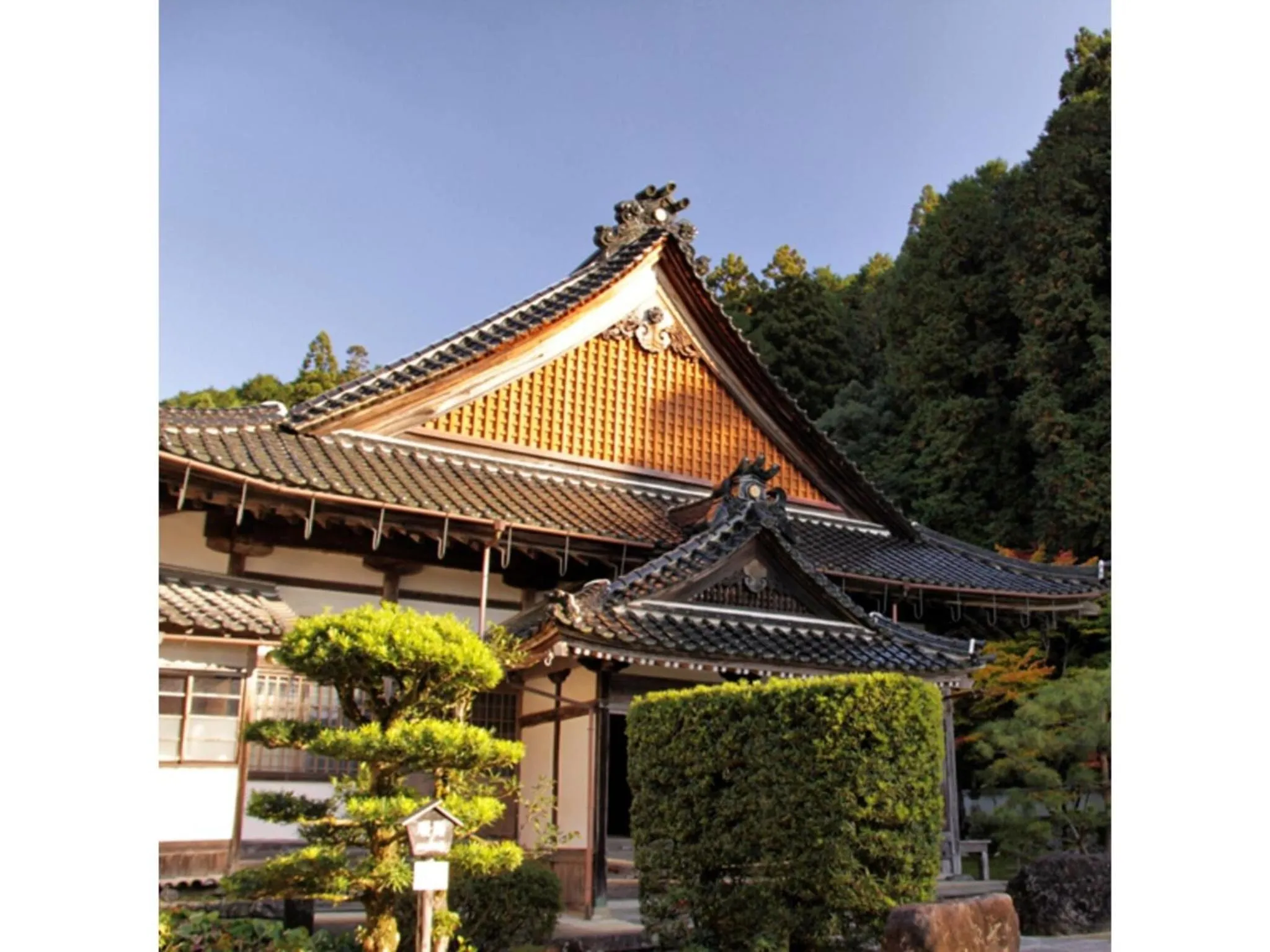 Pure Hotel - Vacation STAY 44183v