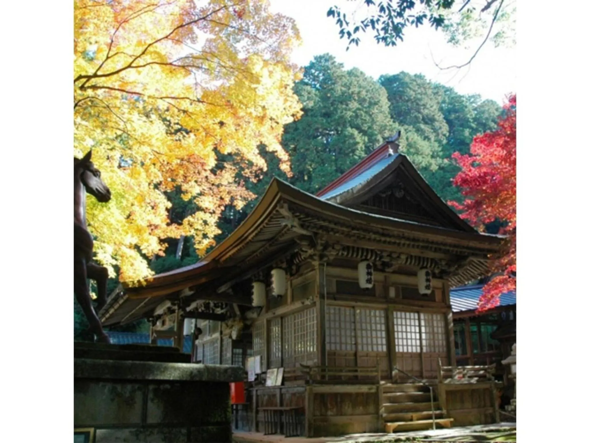 Pure Hotel - Vacation STAY 44183v