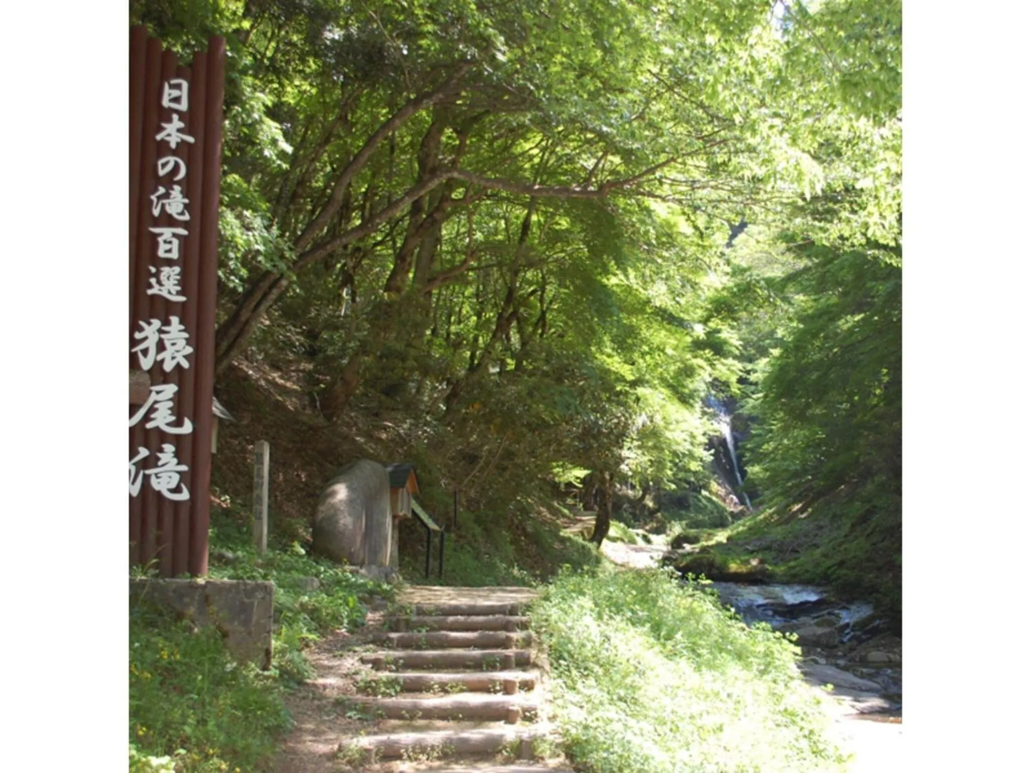 Pure Hotel - Vacation STAY 44183v