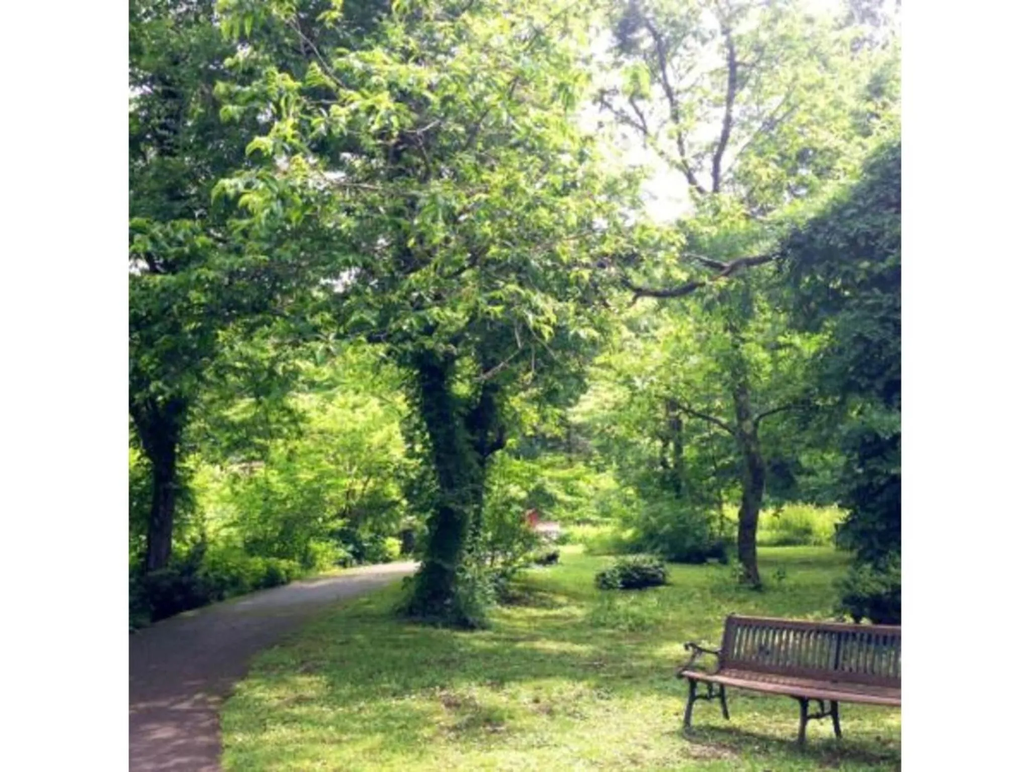 Pure Hotel - Vacation STAY 44183v