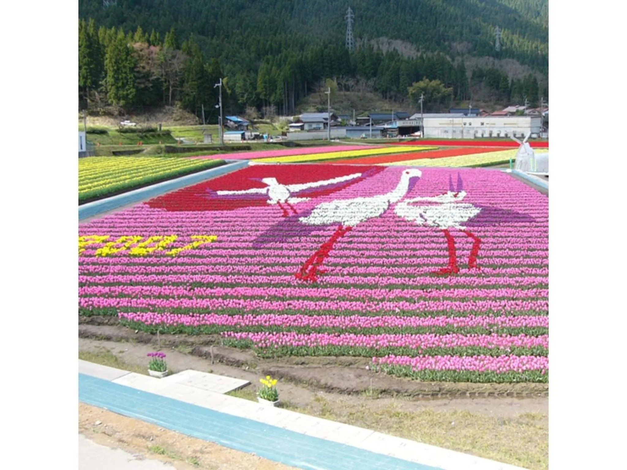 Pure Hotel - Vacation STAY 44183v