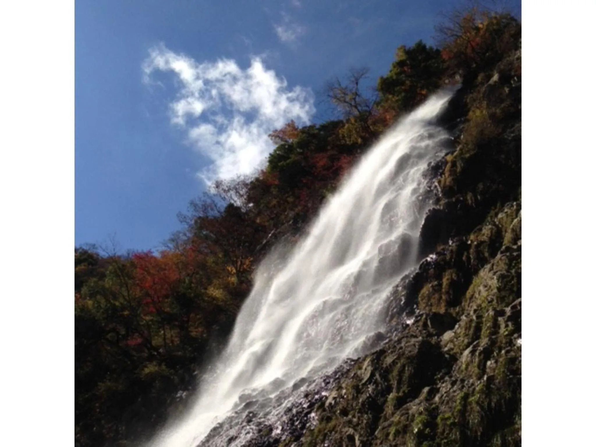 Pure Hotel - Vacation STAY 44183v