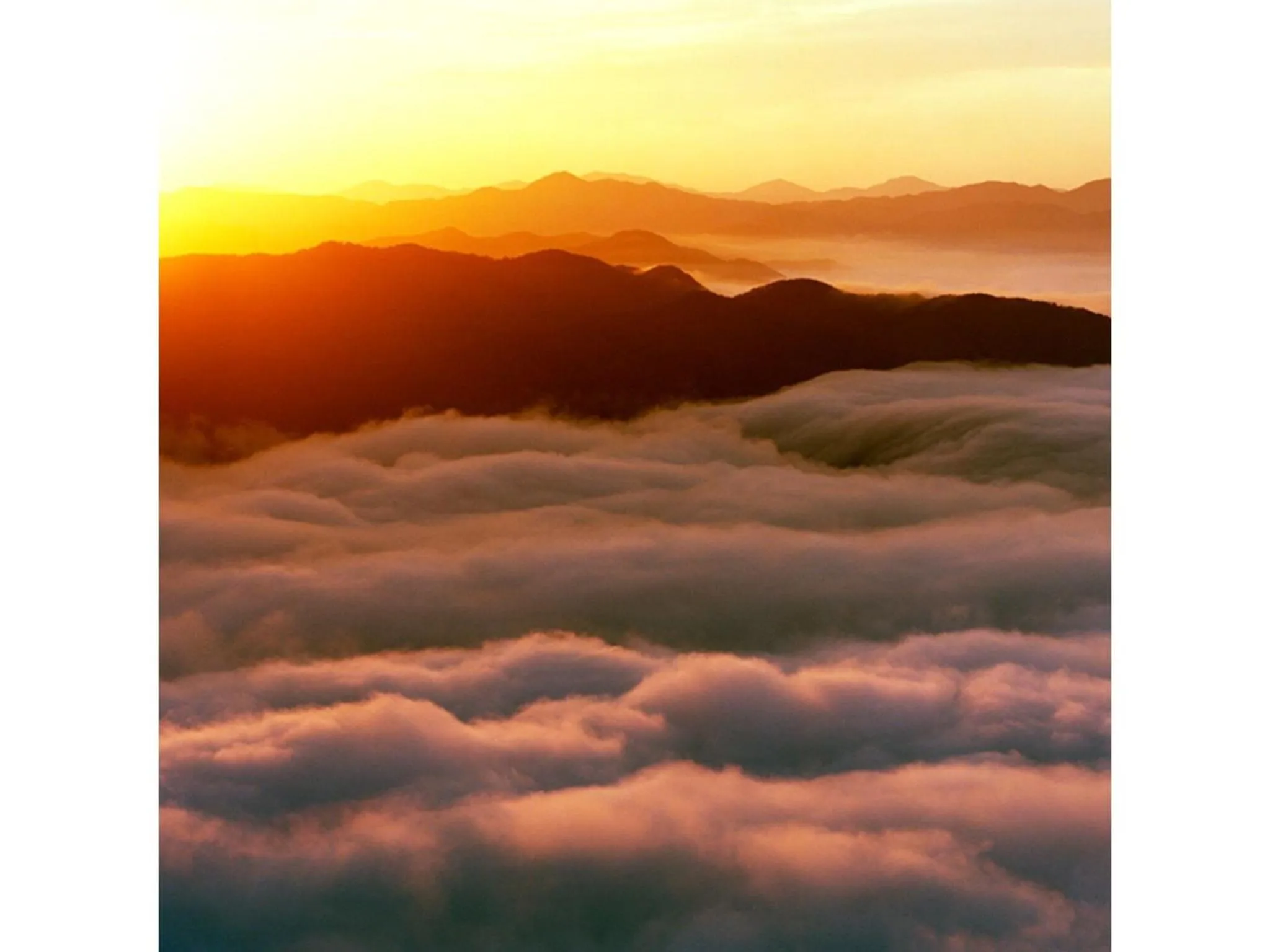 Pure Hotel - Vacation STAY 44187v