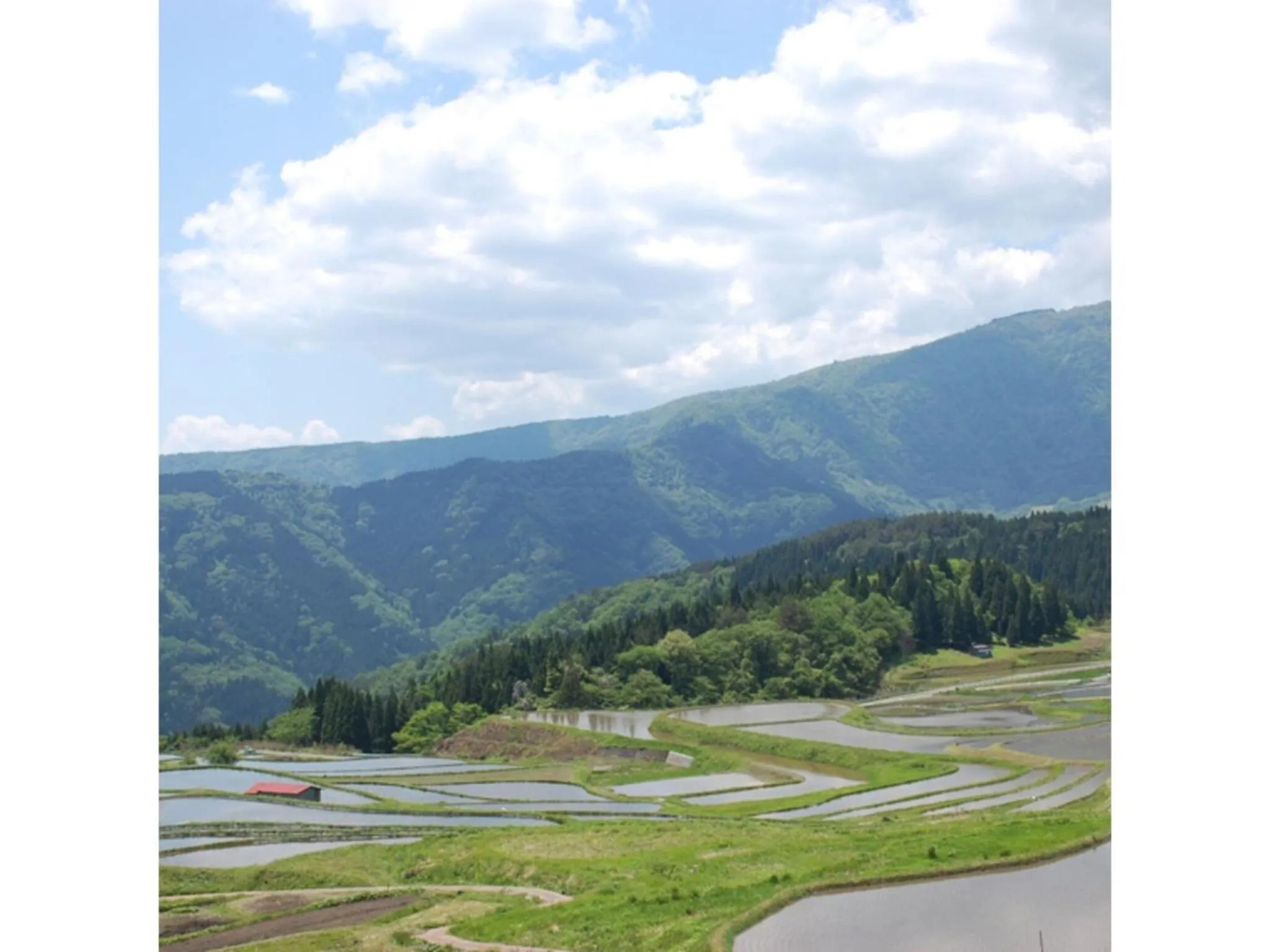 Pure Hotel - Vacation STAY 44187v