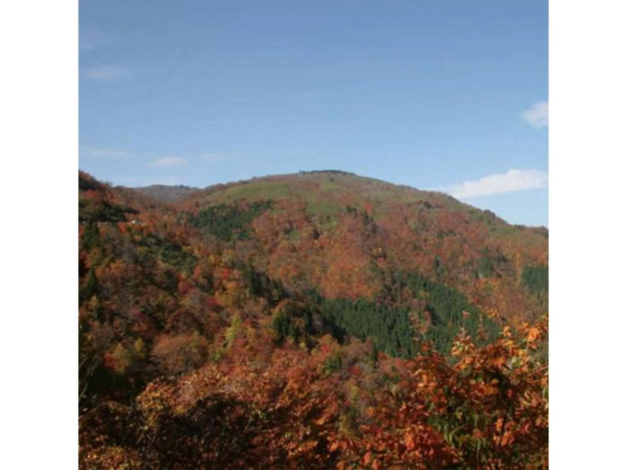 Pure Hotel - Vacation STAY 44177v